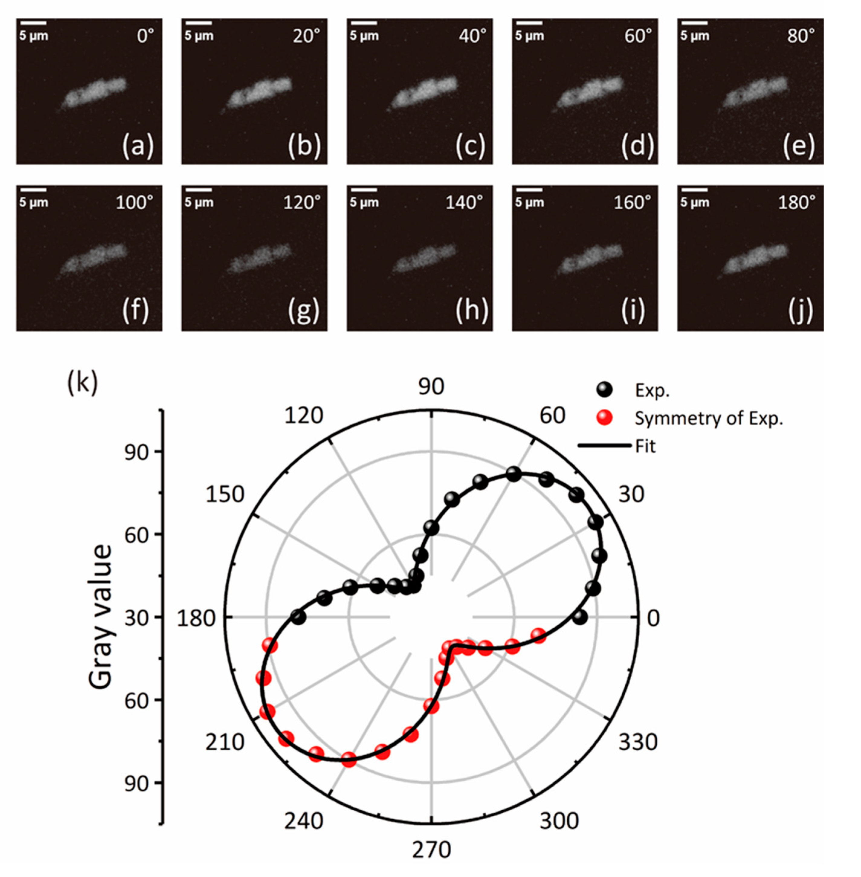 Photonics 11 00866 g003