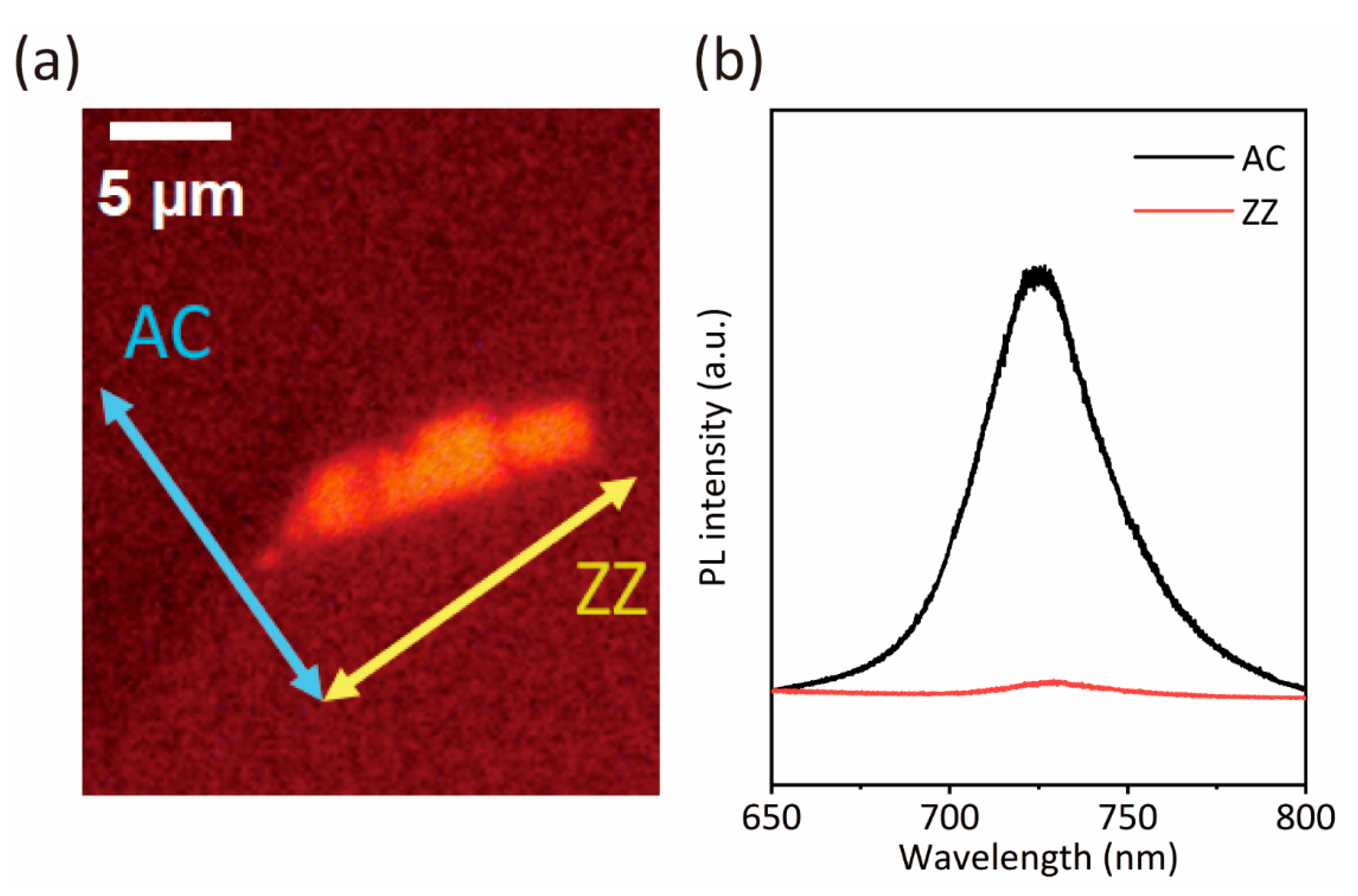 Photonics 11 00866 g004