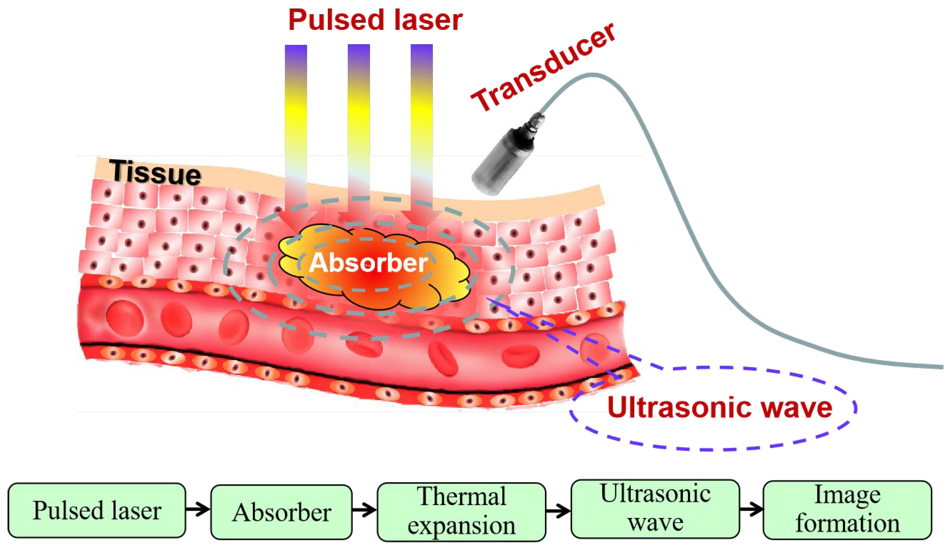 Photonics 11 00872 g001
