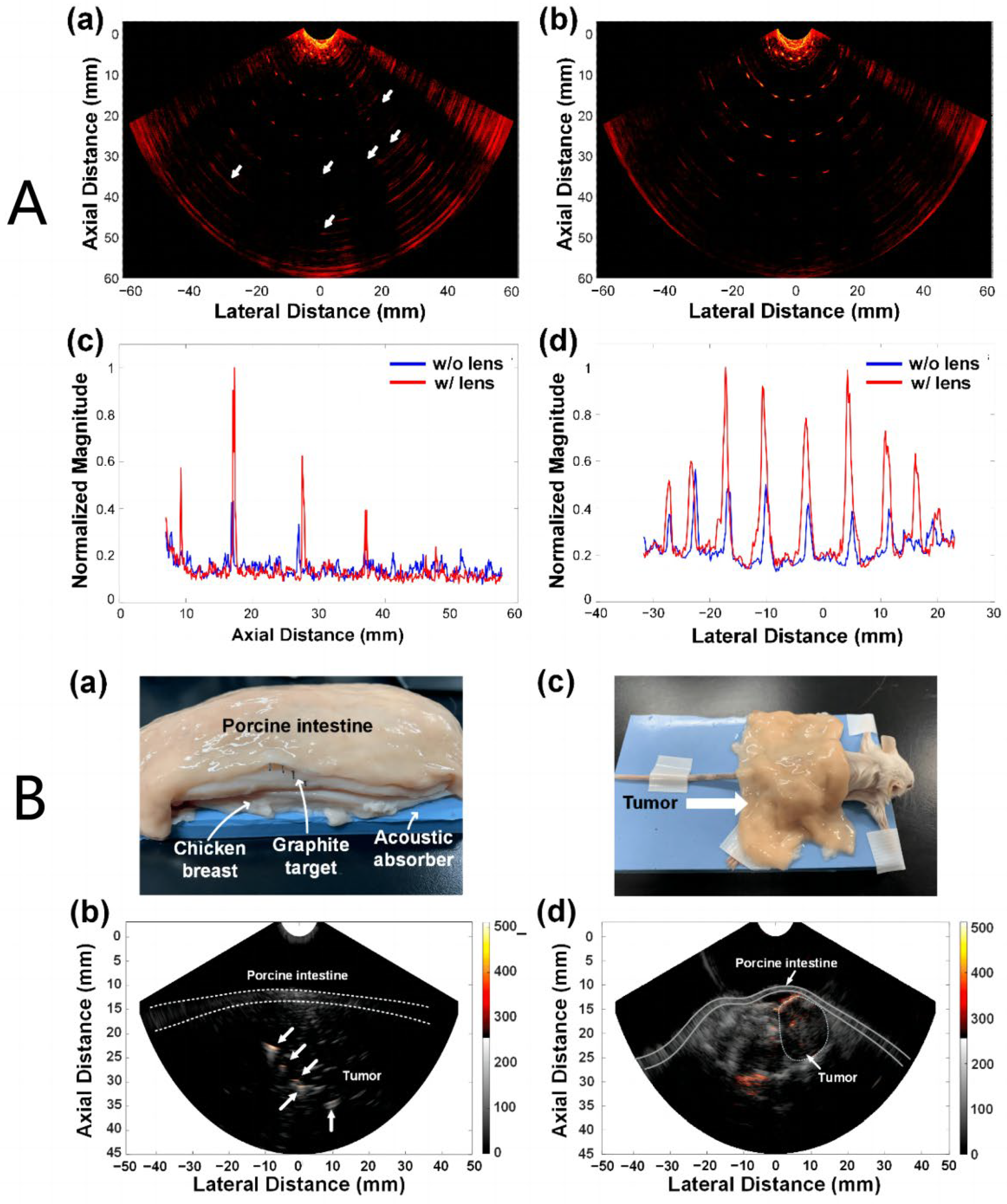Photonics 11 00872 g003