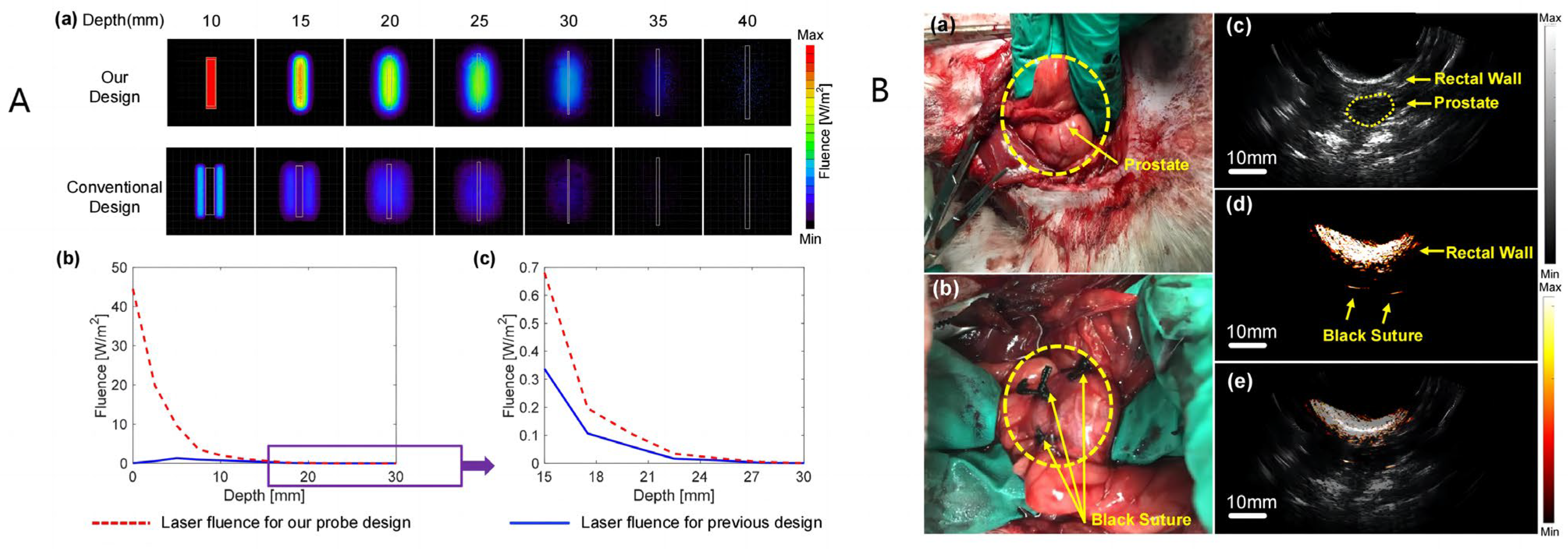 Photonics 11 00872 g004