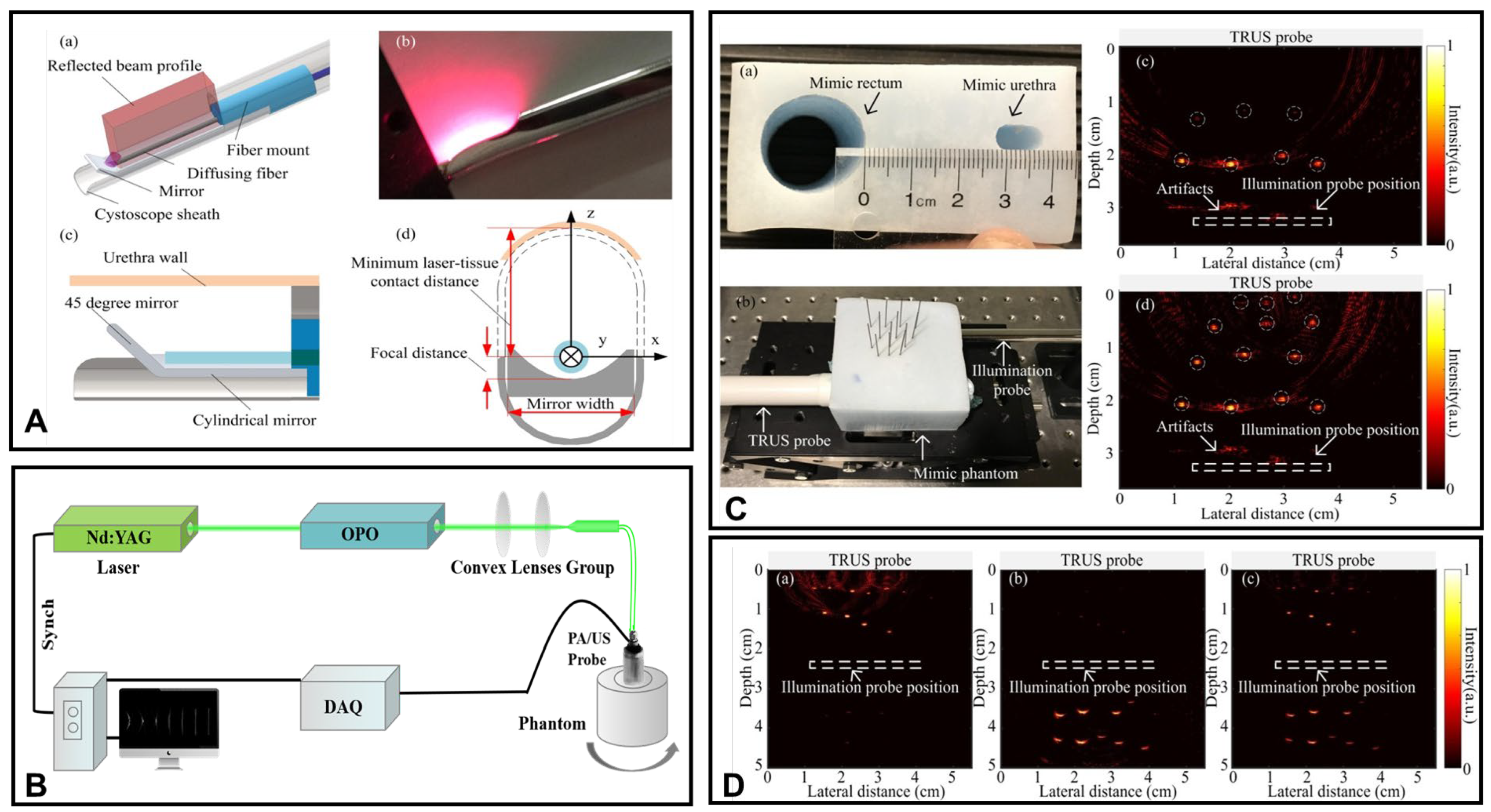 Photonics 11 00872 g005