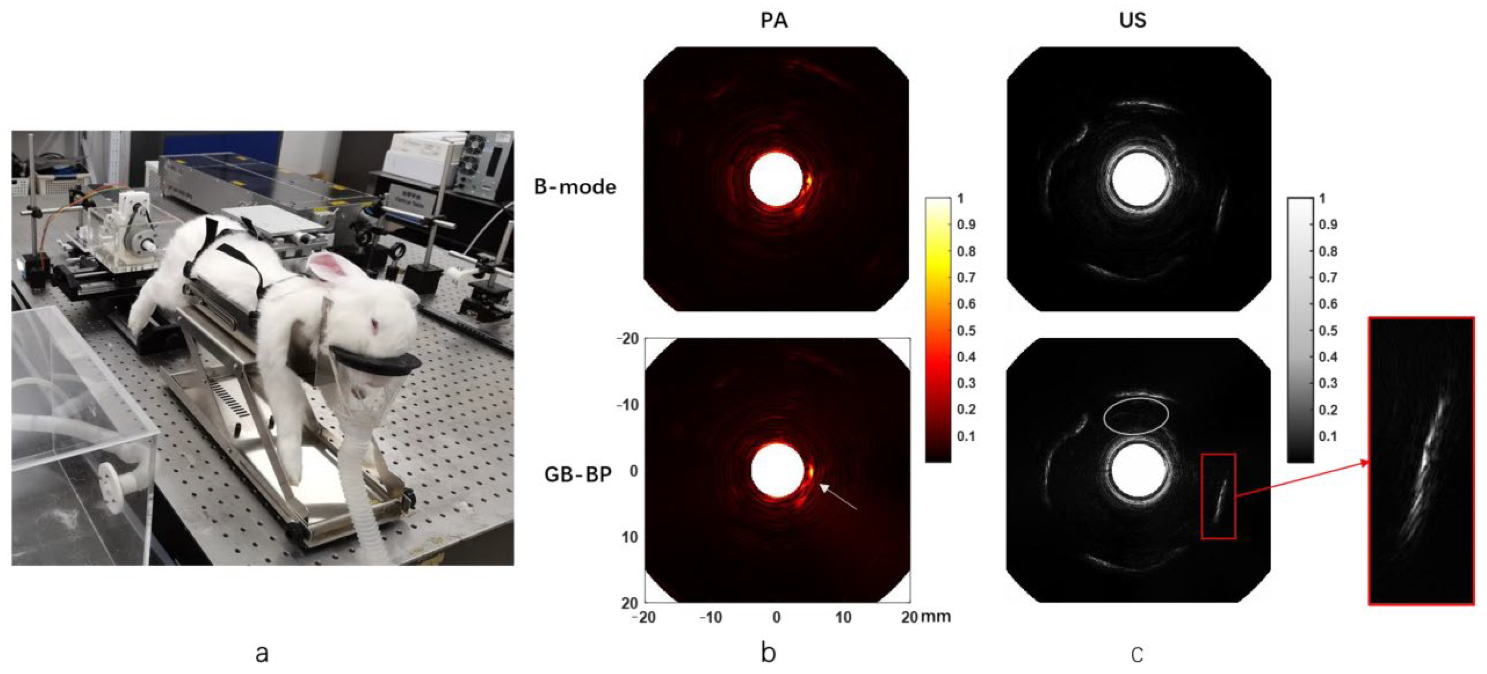 Photonics 11 00872 g008