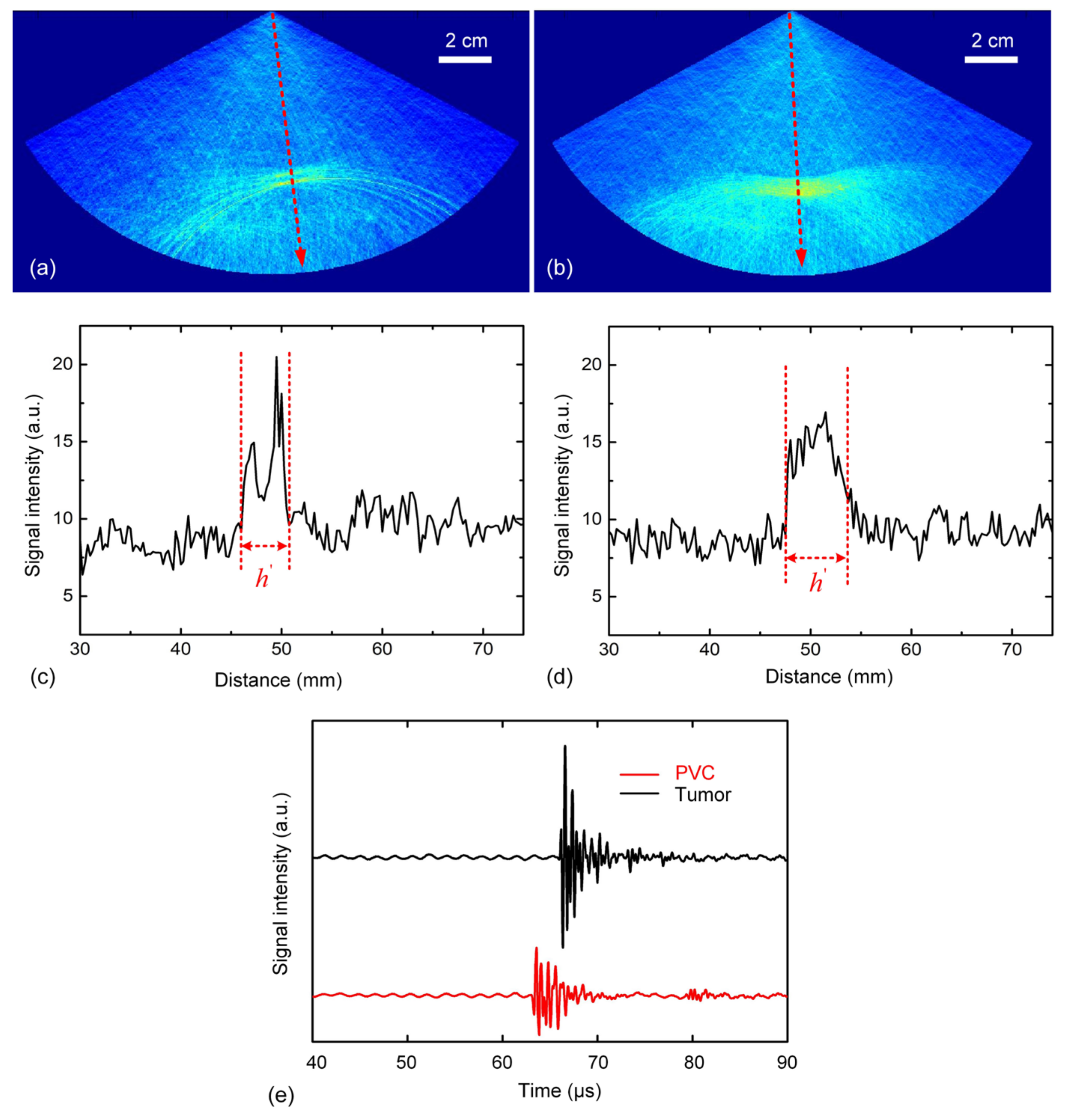 Photonics 11 00916 g005 Photonics 11 00916 g005