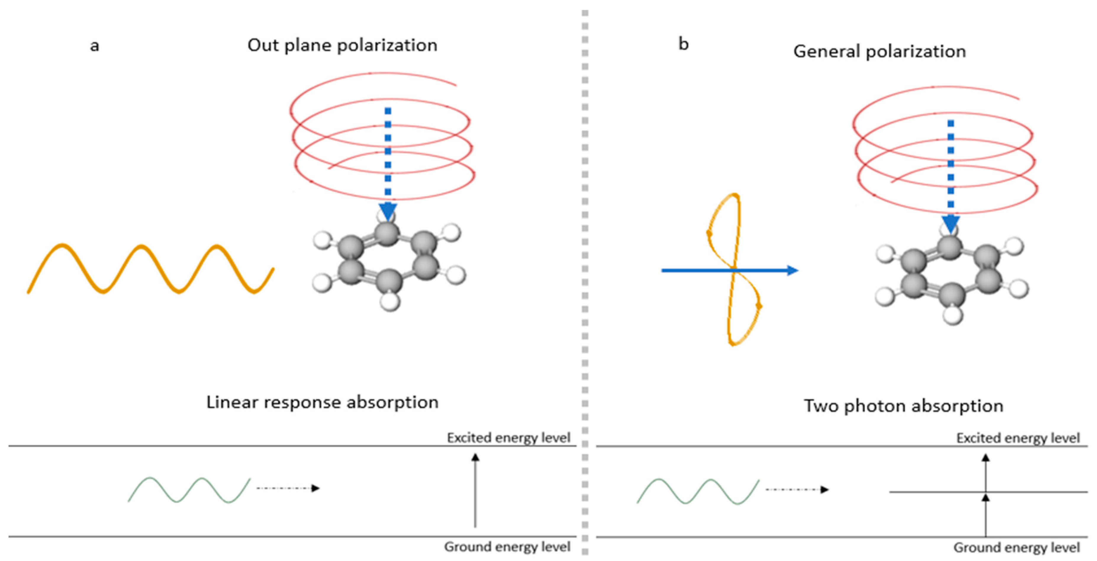 Photonics 11 00918 g001