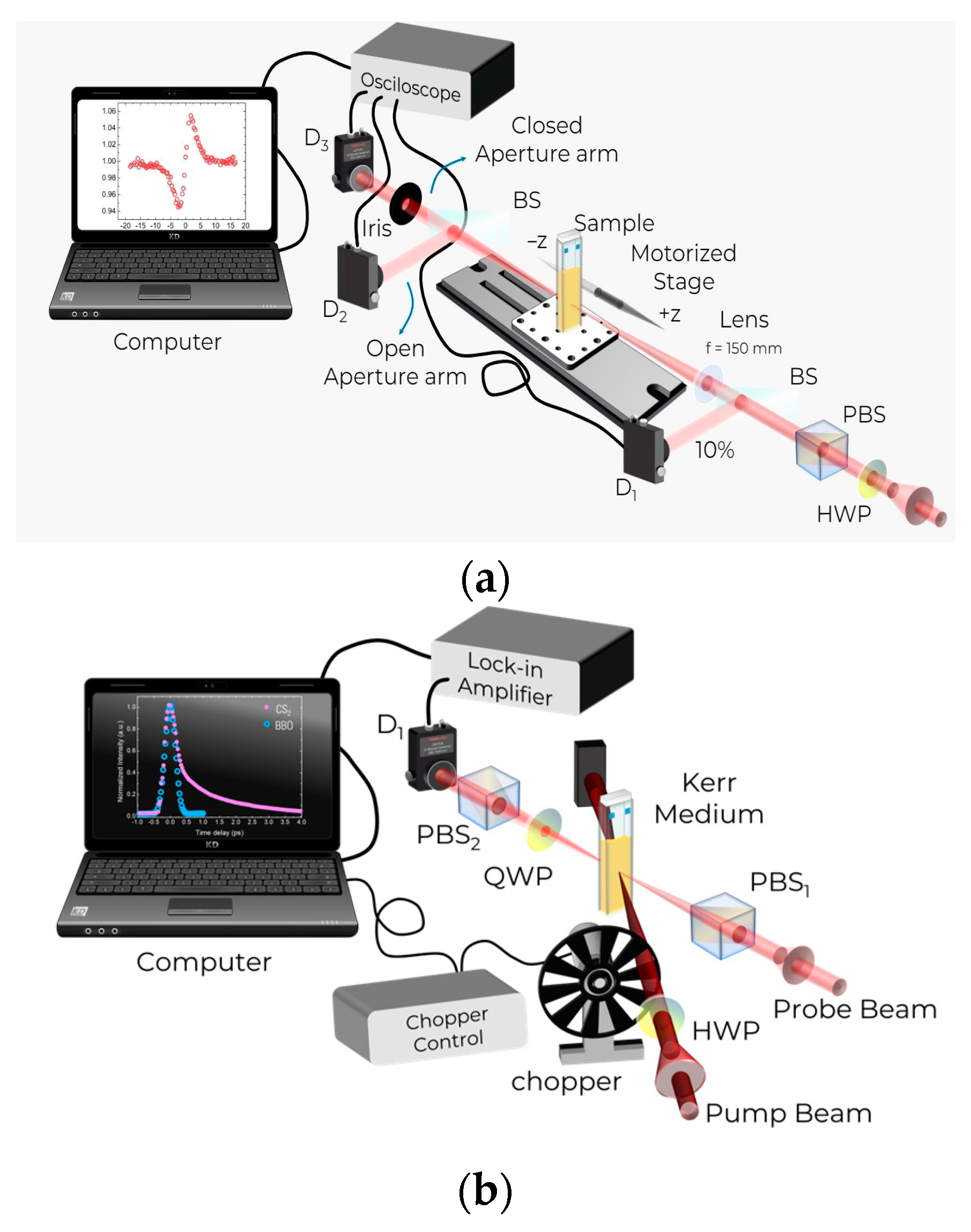 Photonics 11 00930 g002