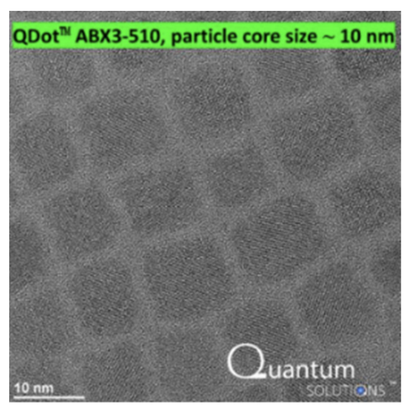 Photonics 11 00936 g001