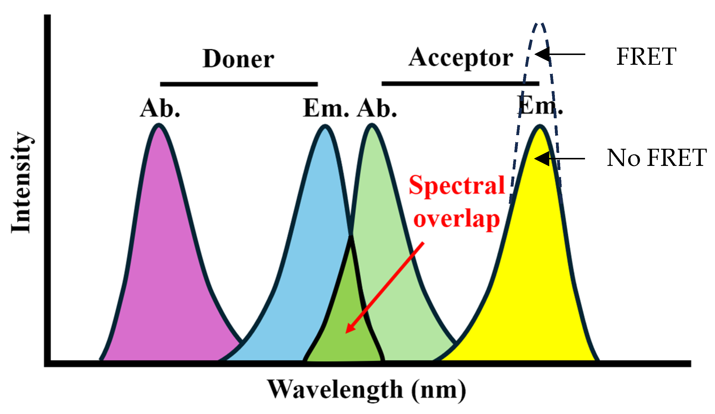 Photonics 11 00936 g007