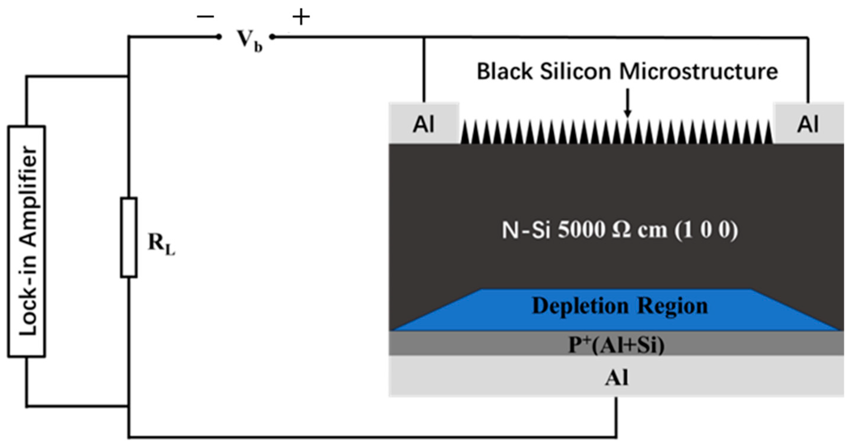 Photonics 11 00947 g003