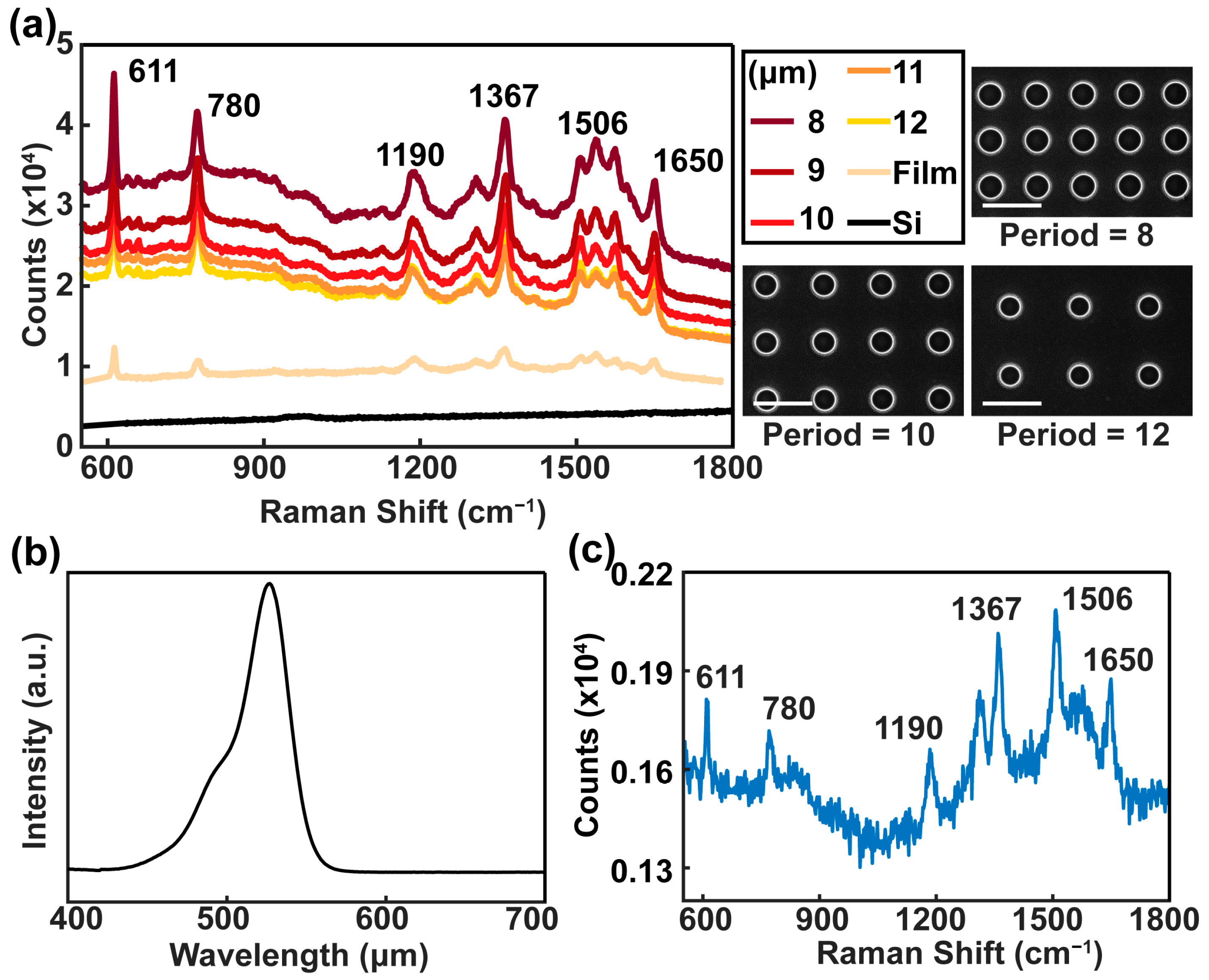 Photonics 11 00950 g003