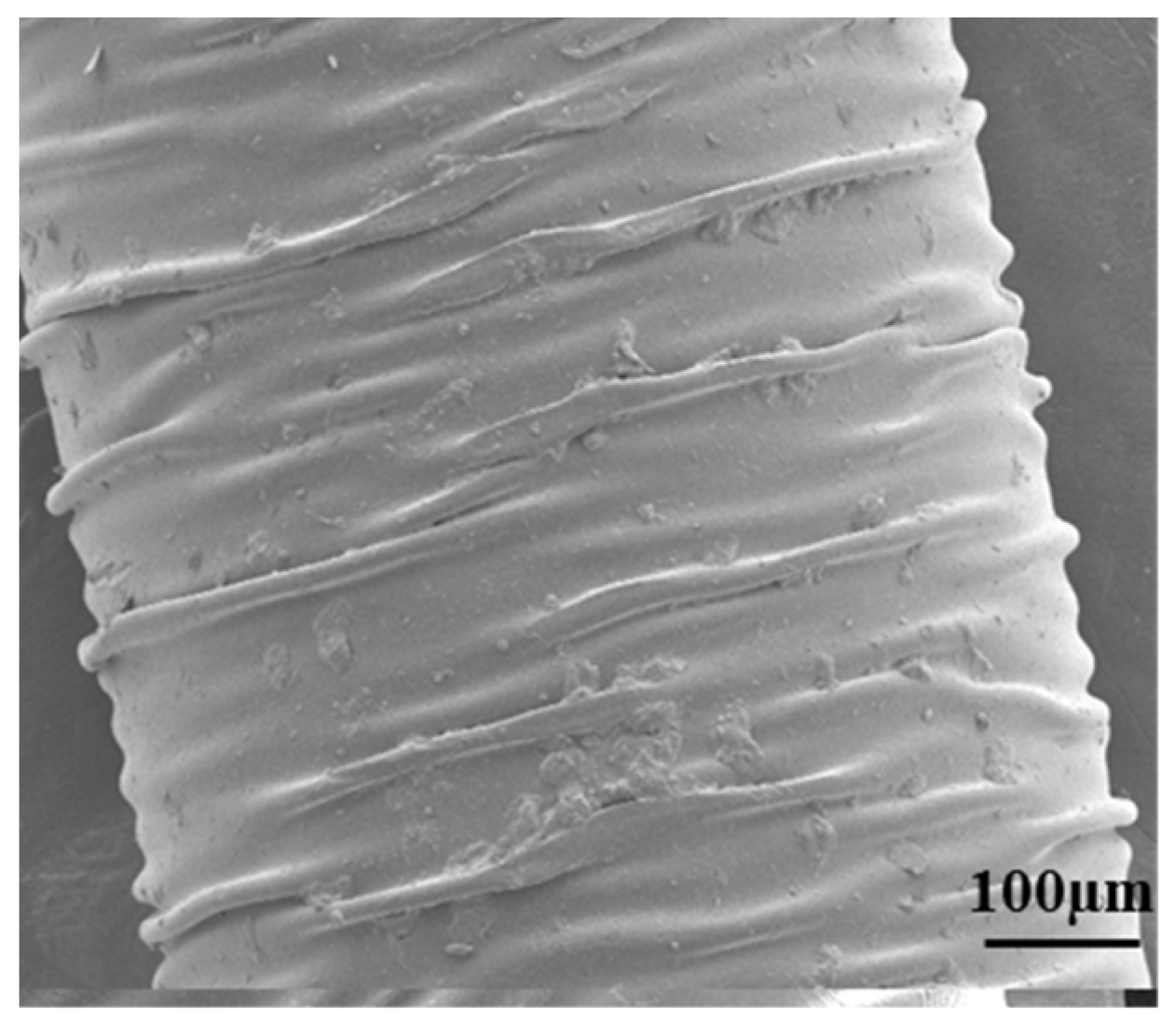 Photonics 11 00966 g003 Photonics 11 00966 g003