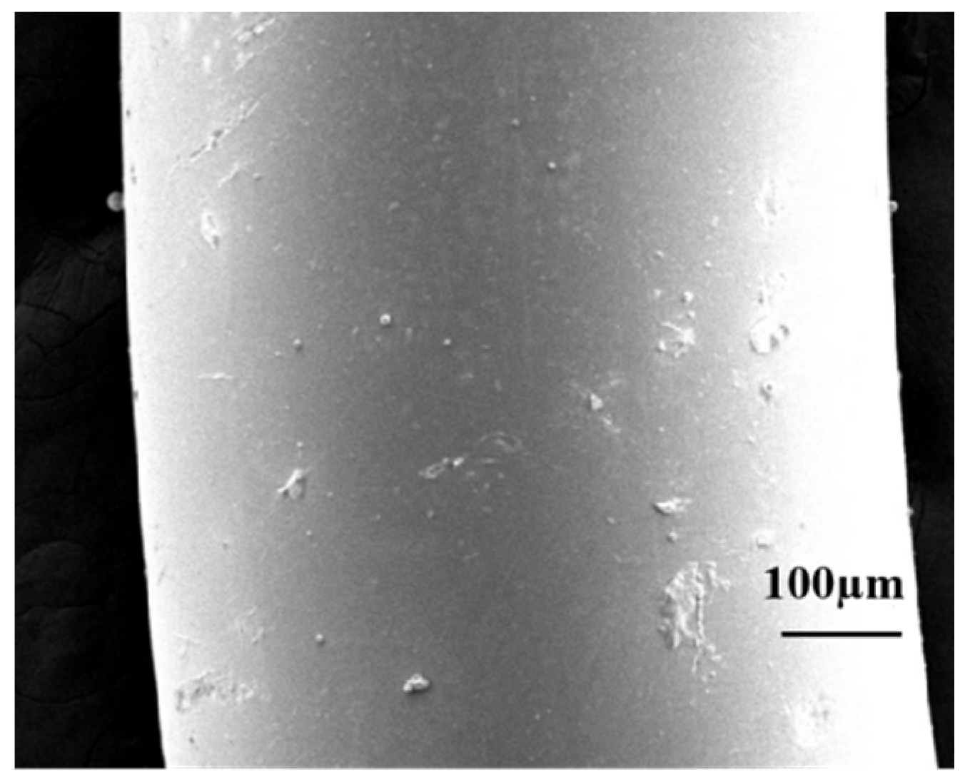 Photonics 11 00966 g004 Photonics 11 00966 g004