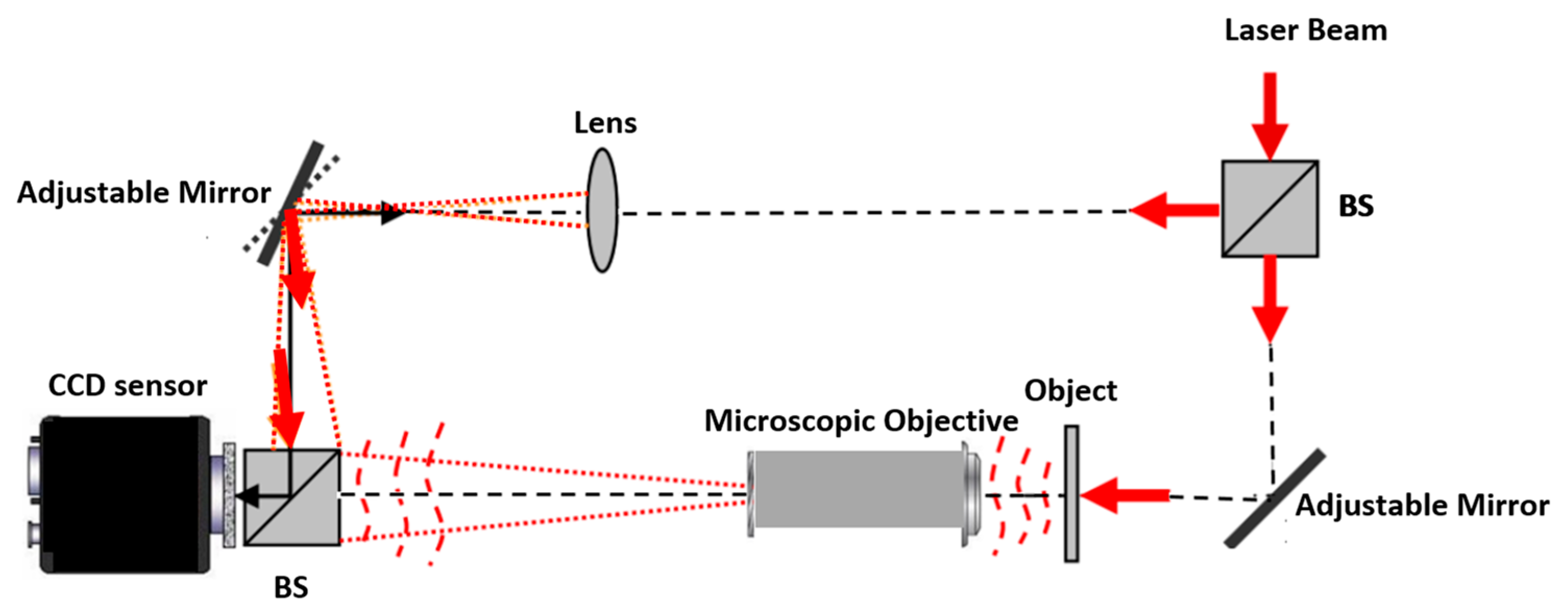 Photonics 11 00980 g003