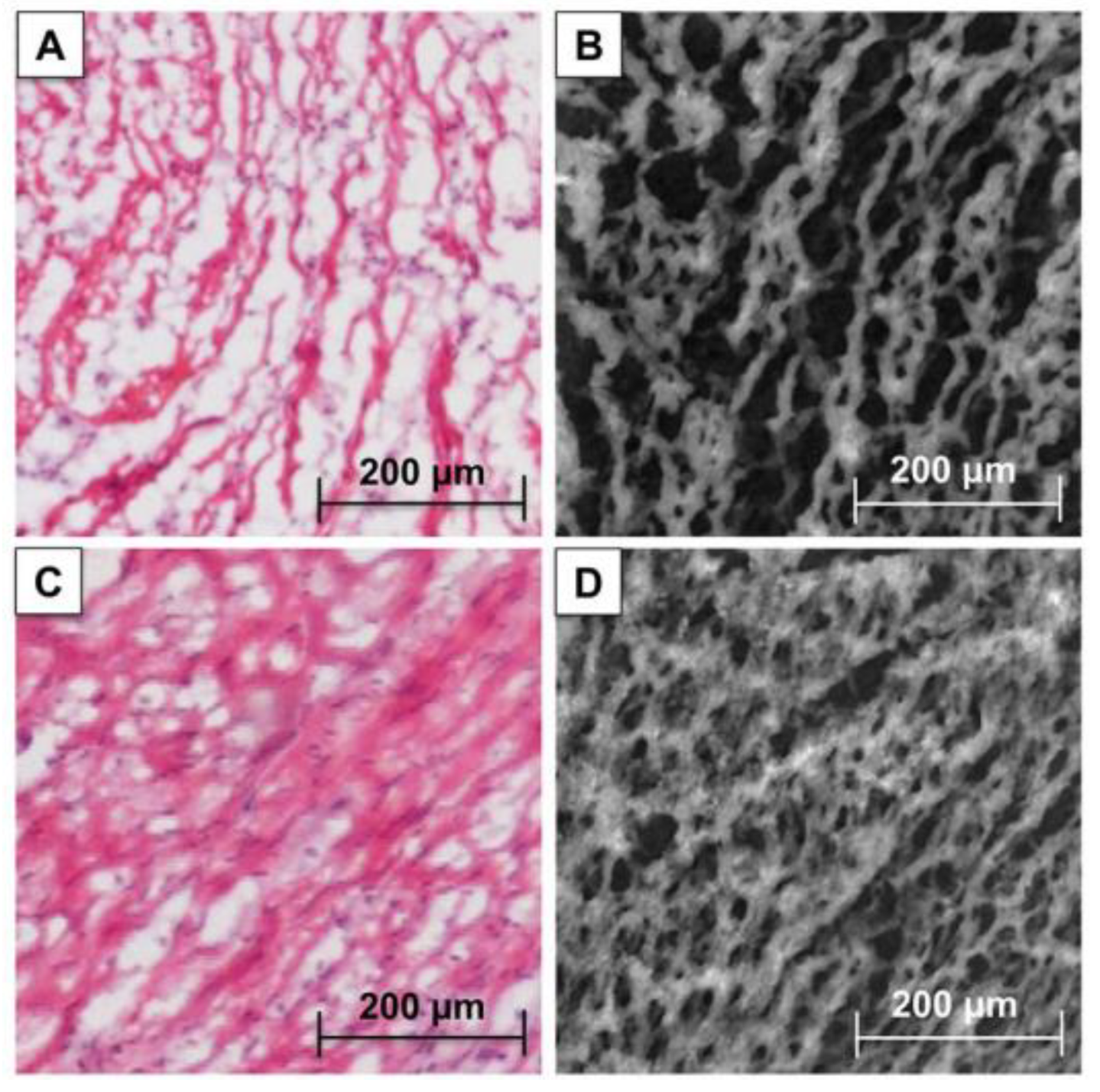 Photonics 11 00980 g007