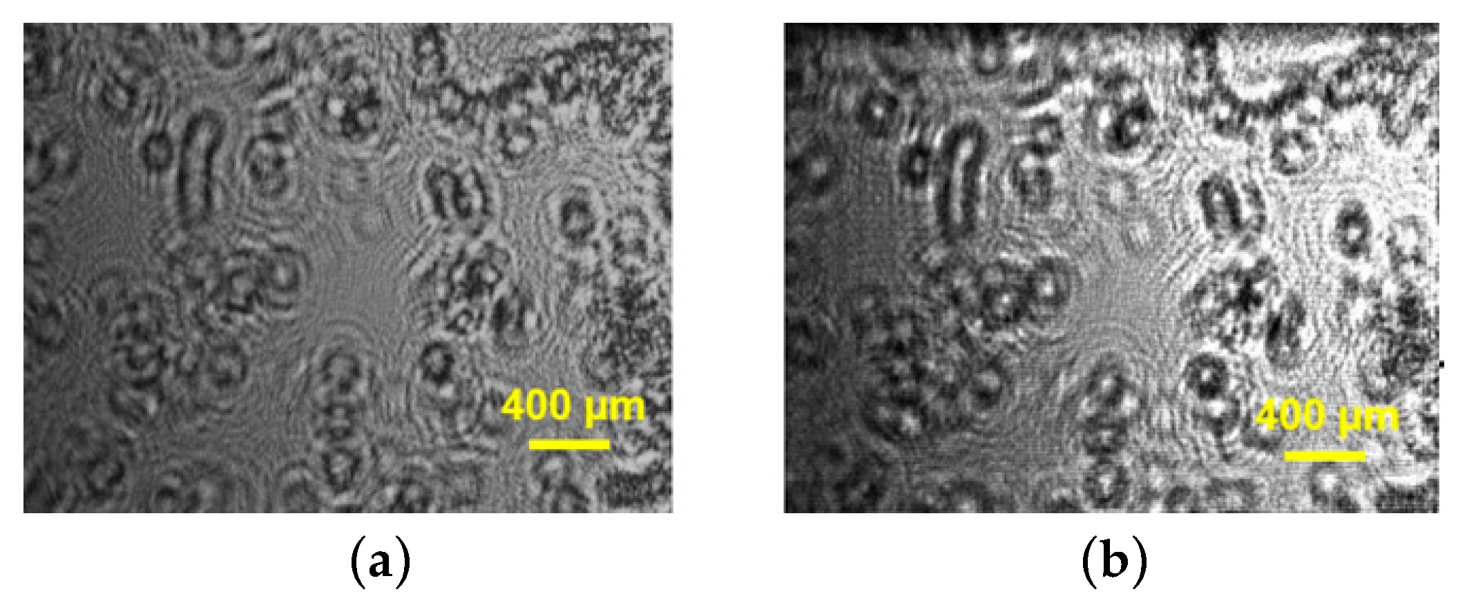Photonics 11 00980 g010