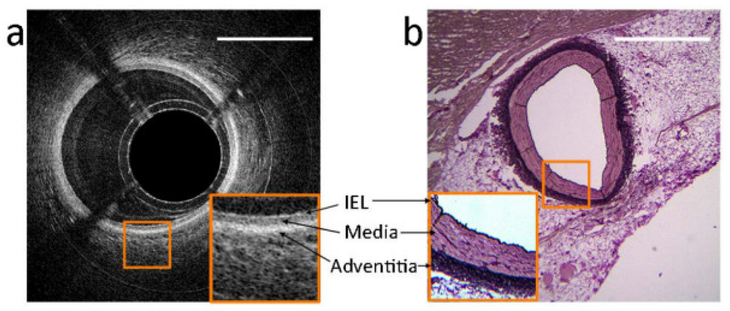 Photonics 11 01131 g007