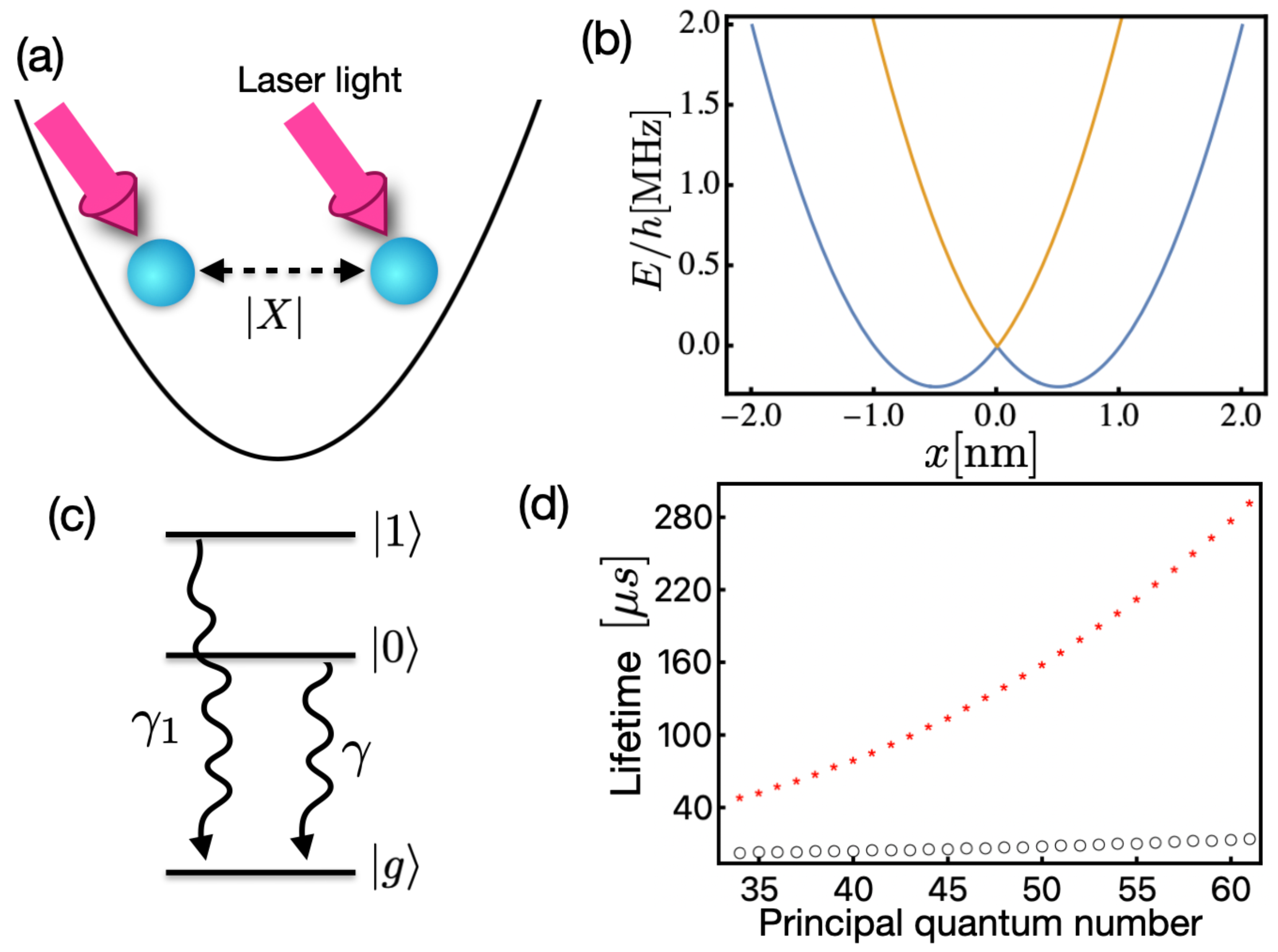 Photonics 11 01135 g001