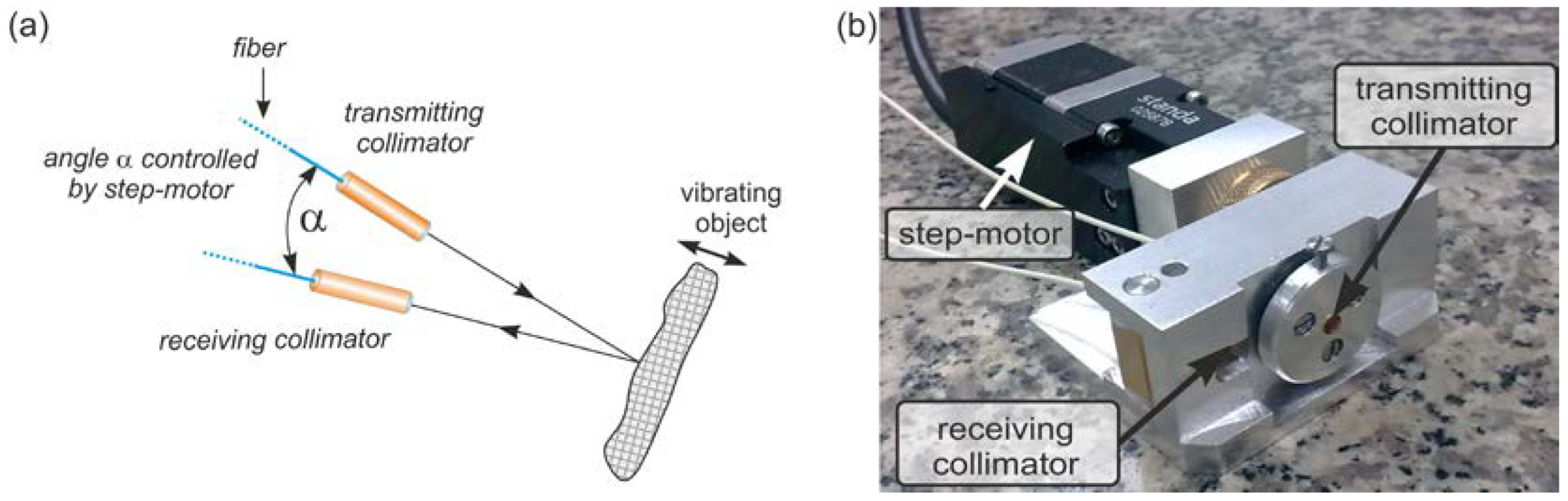 Photonics 11 01152 g003