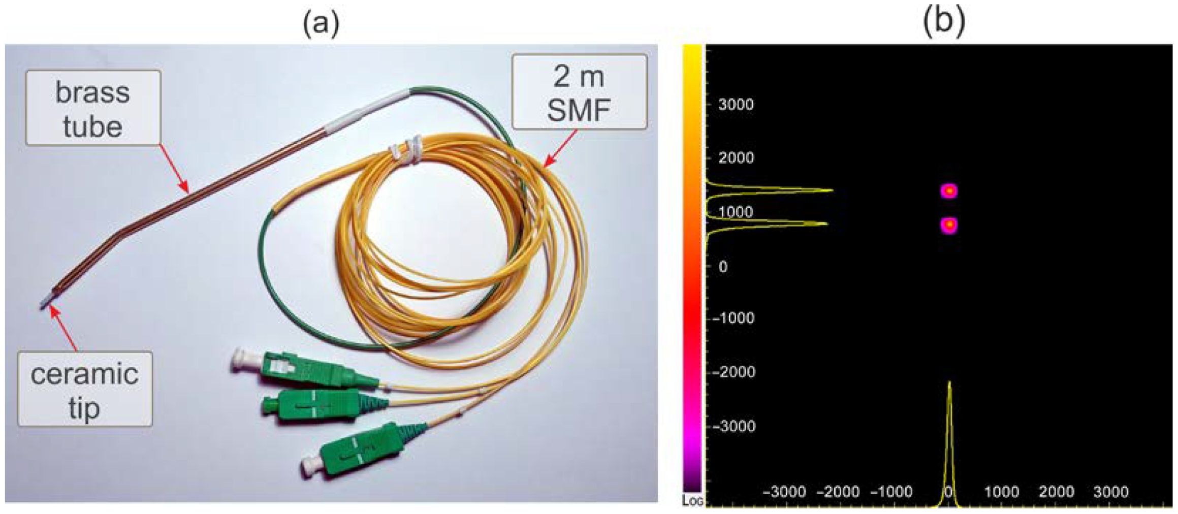 Photonics 11 01152 g005