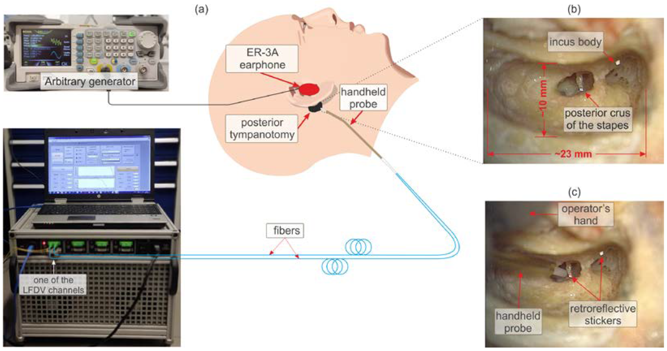 Photonics 11 01152 g010