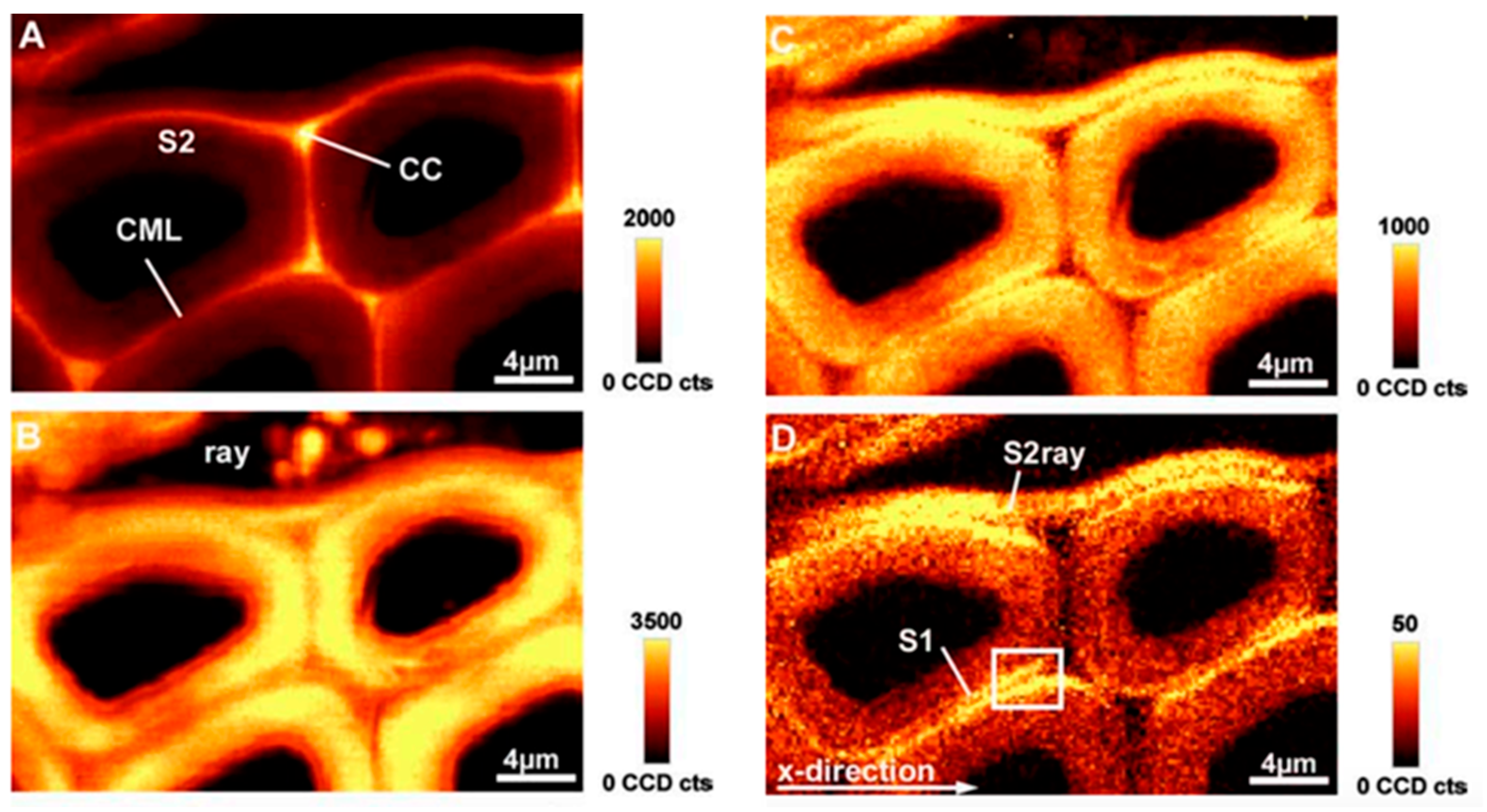 Photonics 11 01207 g004 Photonics 11 01207 g004
