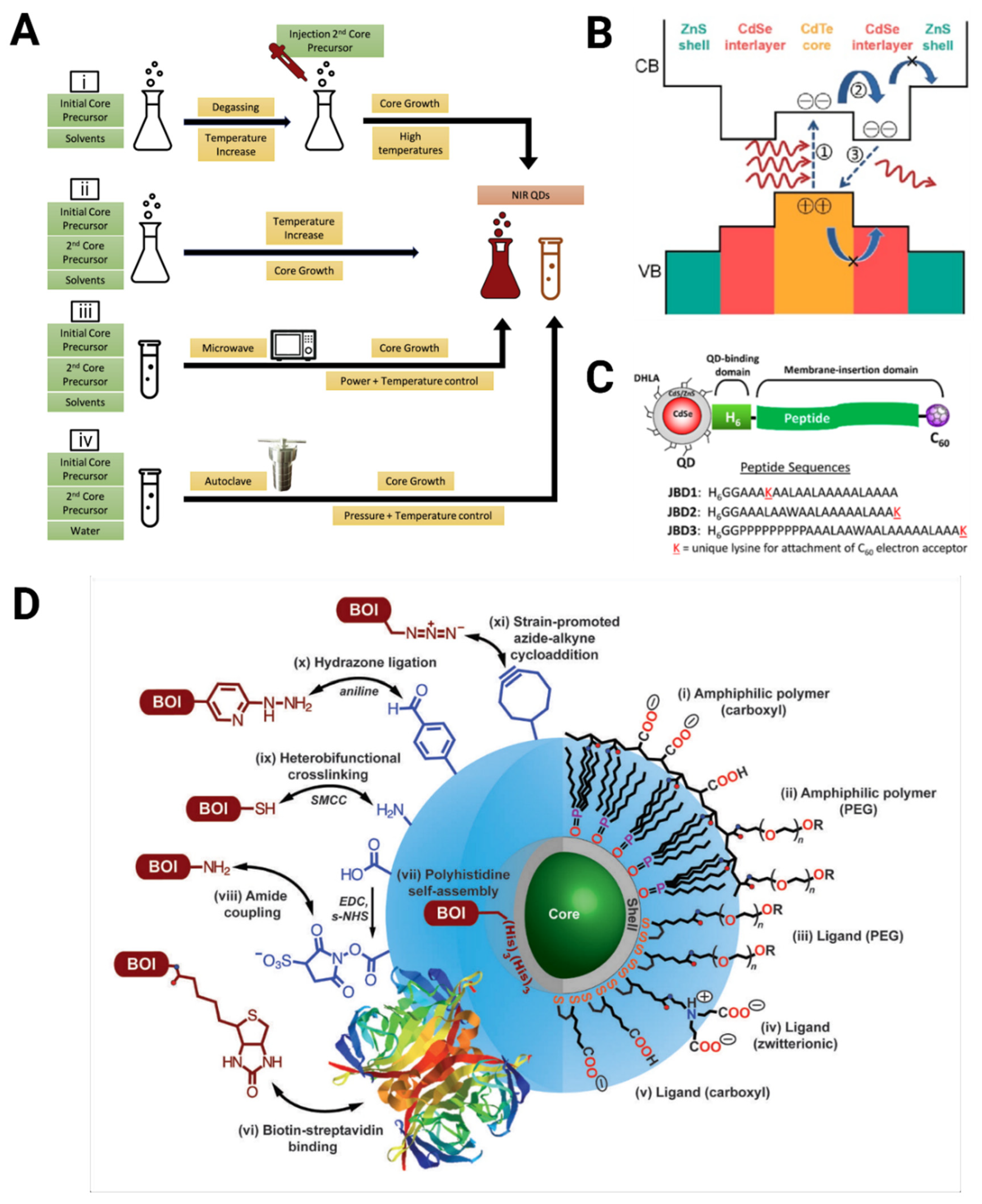 Photonics 12 00003 g004