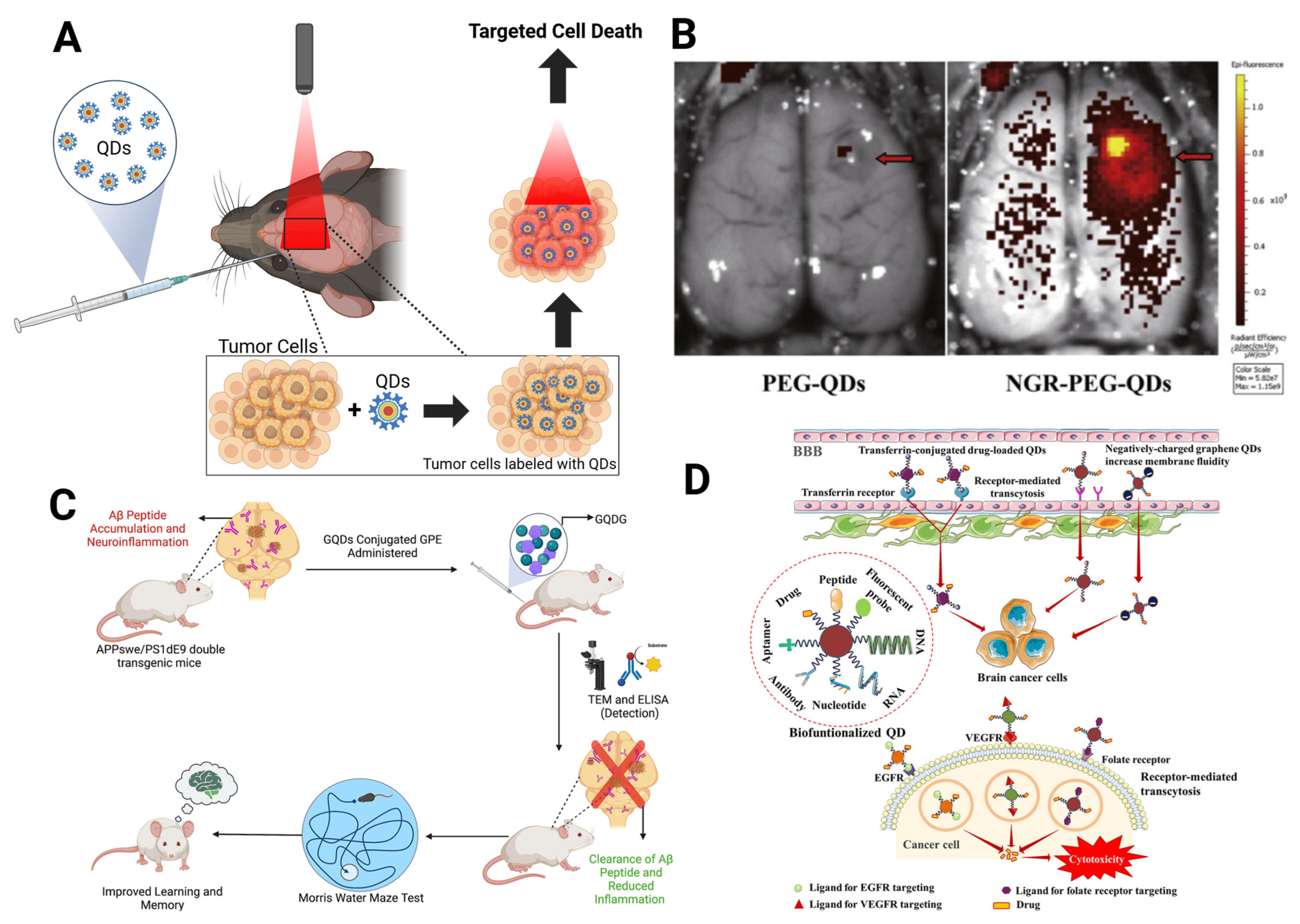 Photonics 12 00003 g005