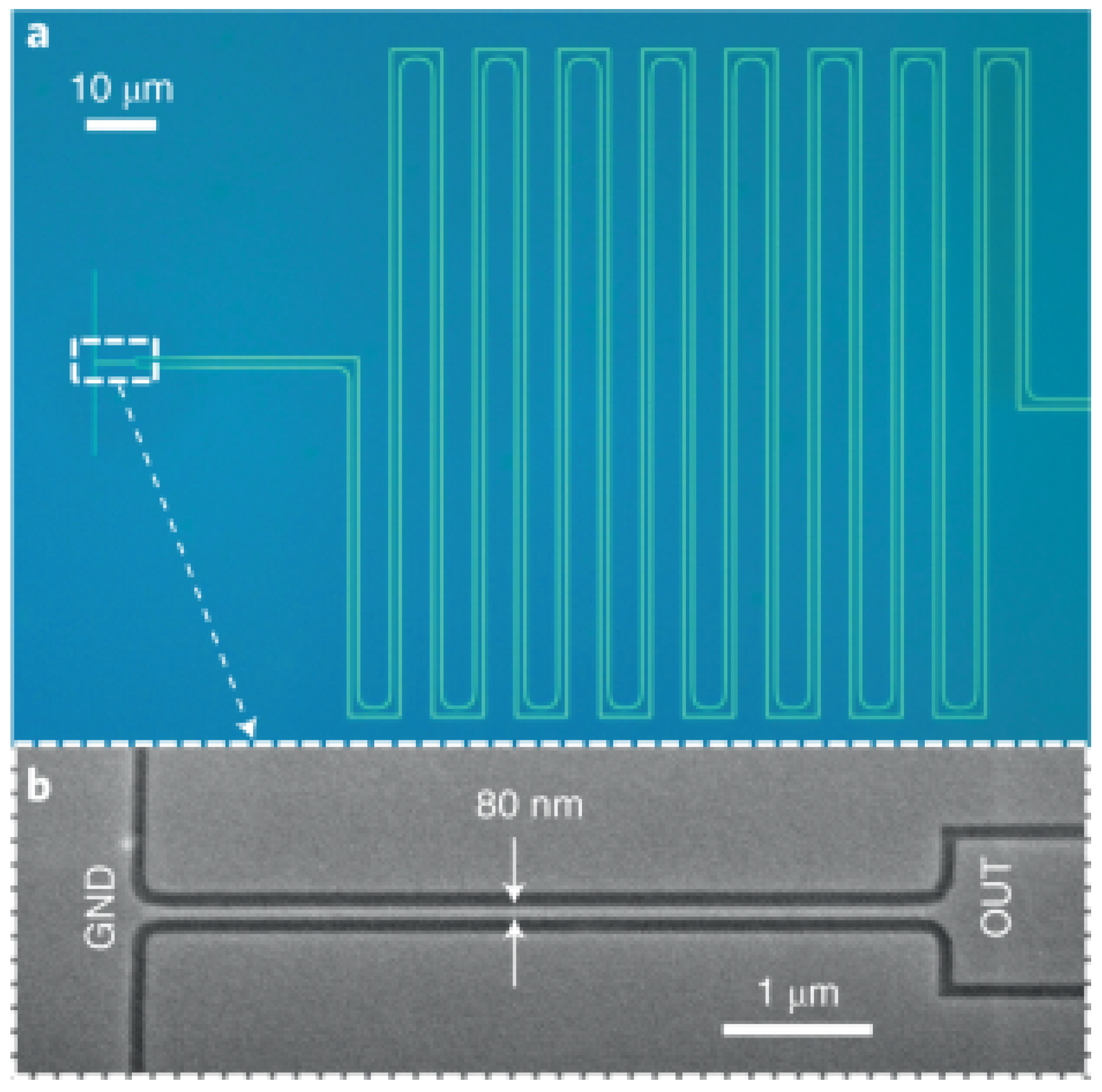 Photonics 12 00008 g004