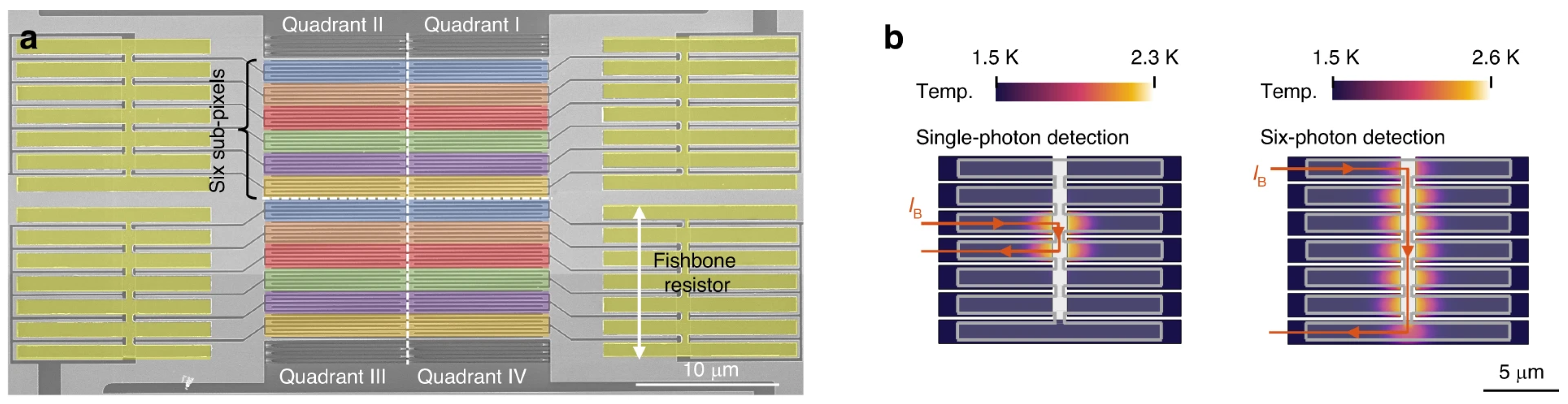 Photonics 12 00008 g007