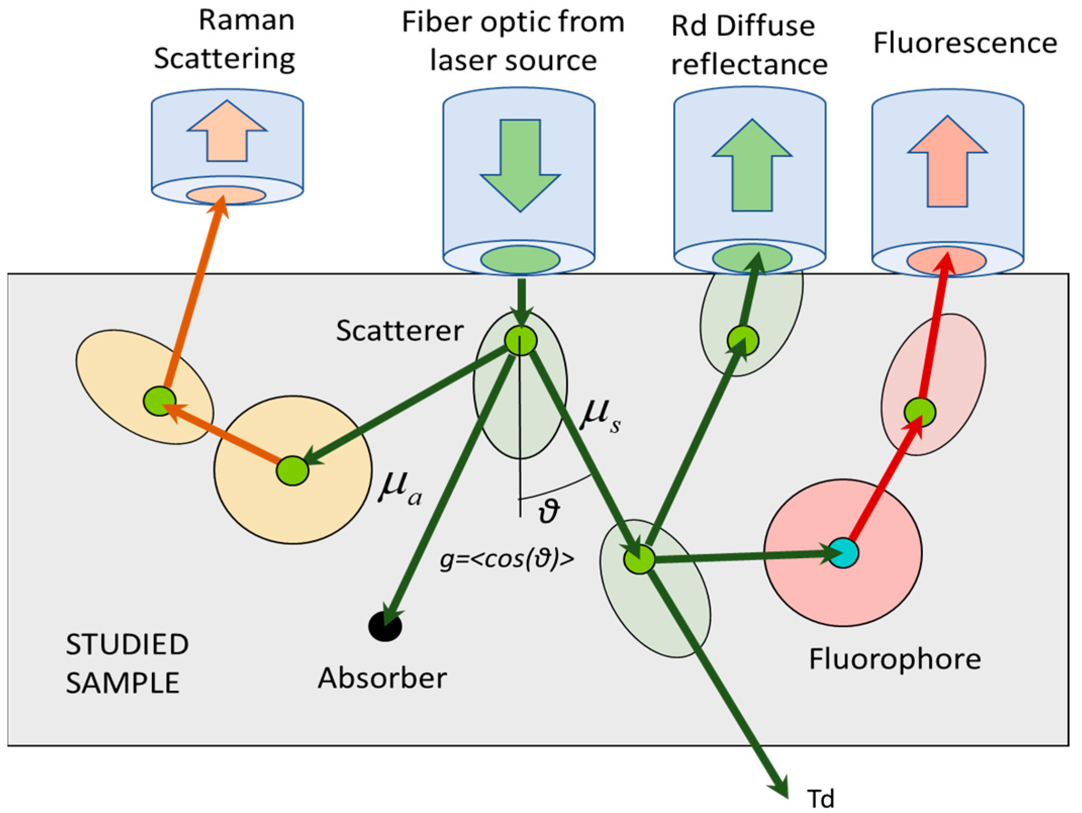 Photonics 12 00037 g001