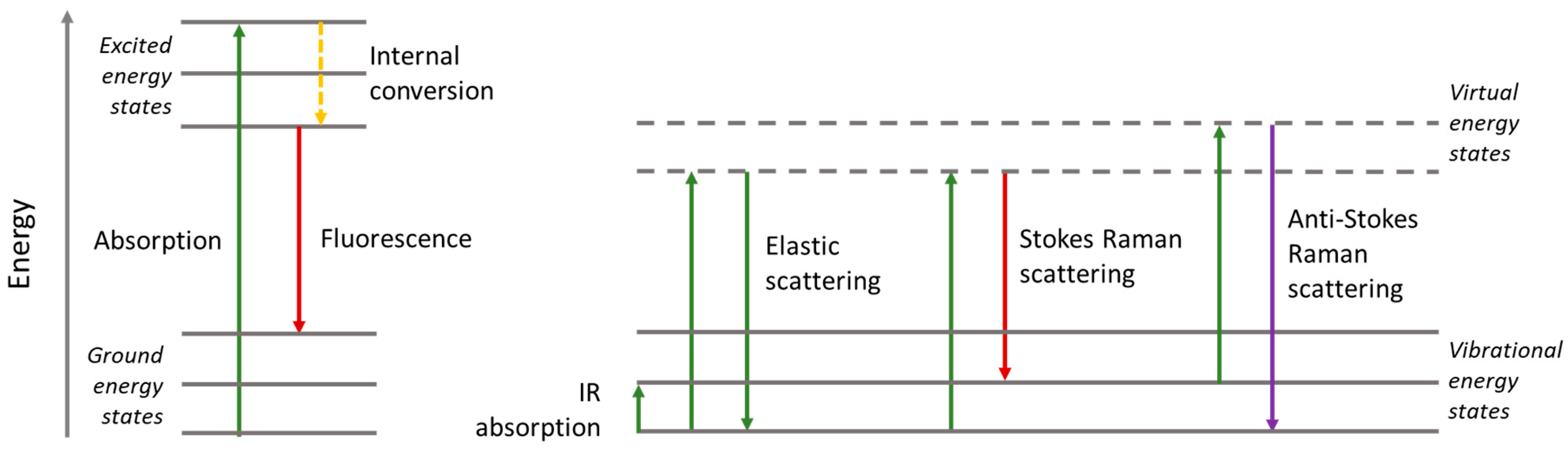 Photonics 12 00037 g002