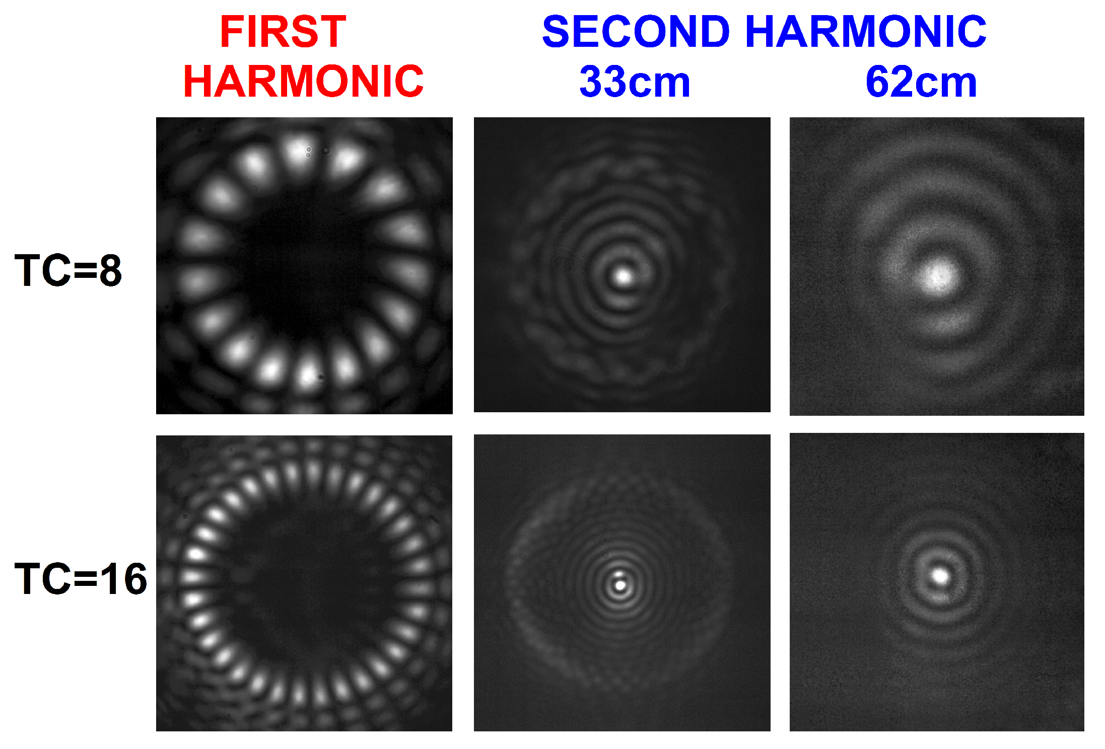 Photonics 12 00119 g005