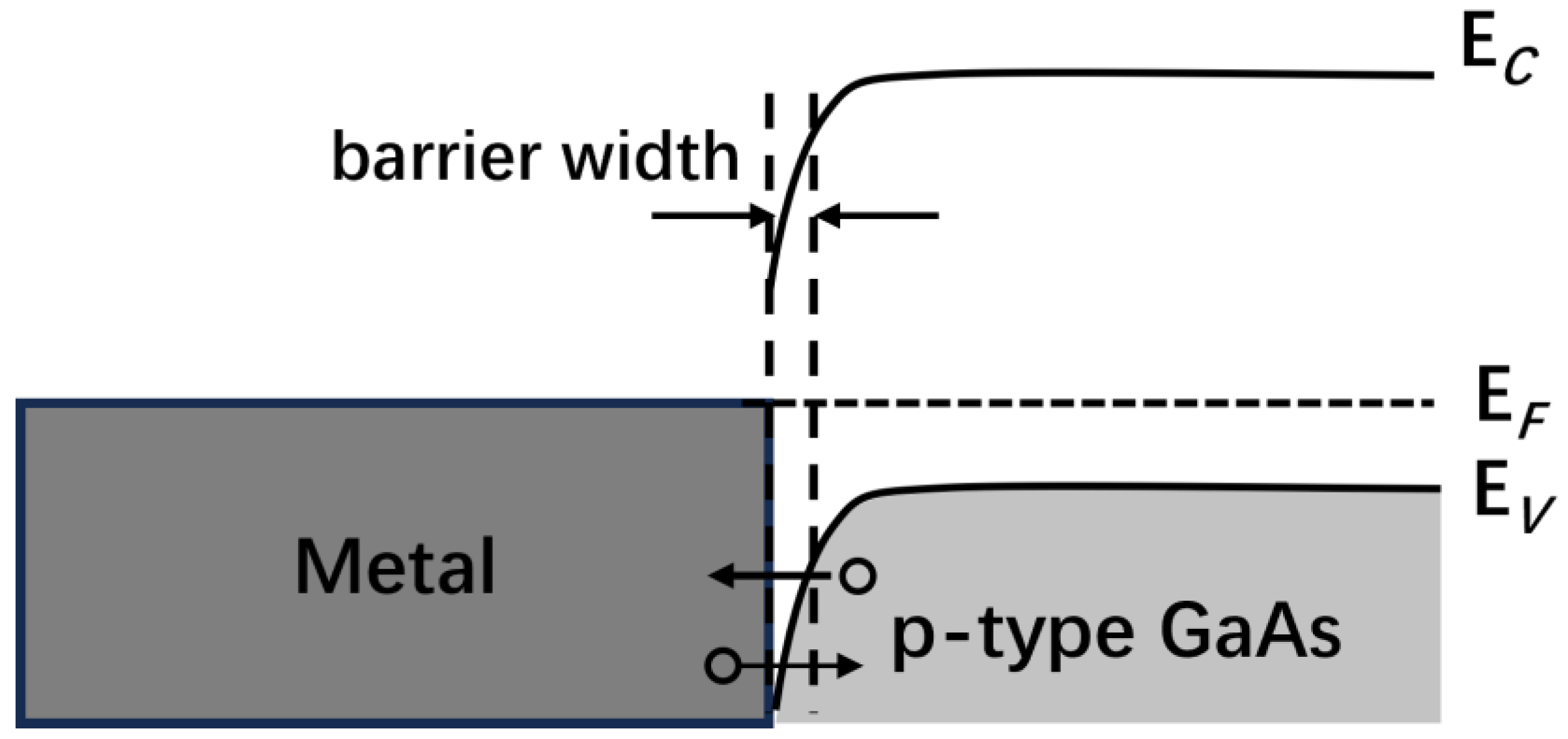 Photonics 12 00152 g005