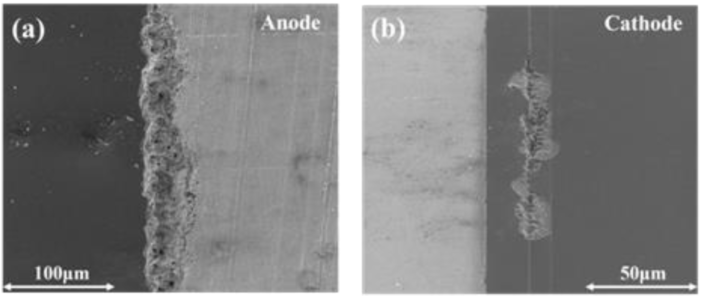 Photonics 12 00152 g012