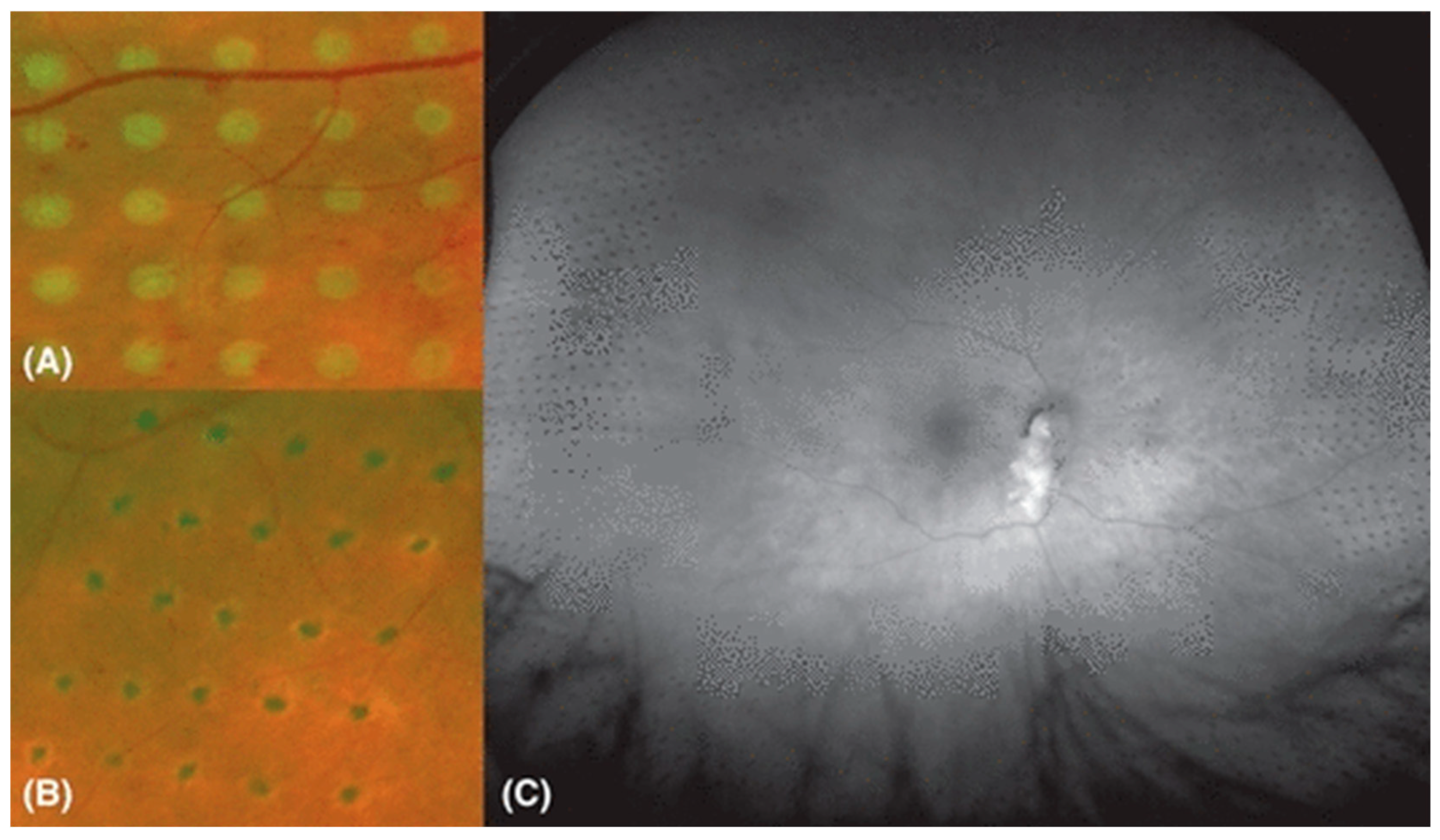 Photonics 12 00156 g004