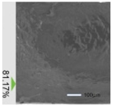 Photonics 12 00162 i031