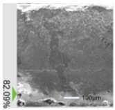 Photonics 12 00162 i038