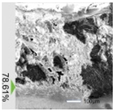 Photonics 12 00162 i040