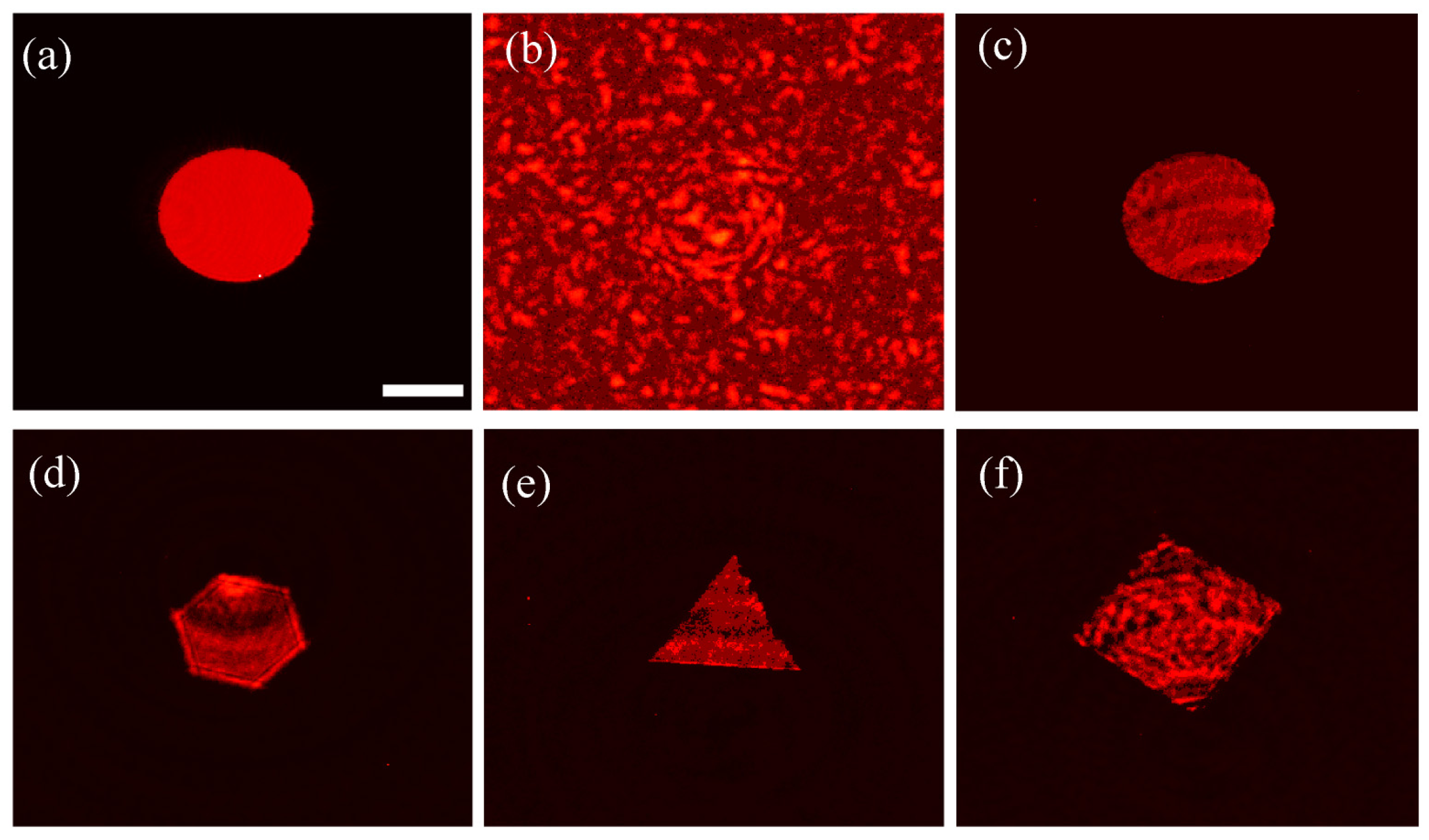 Photonics 12 00168 g003
