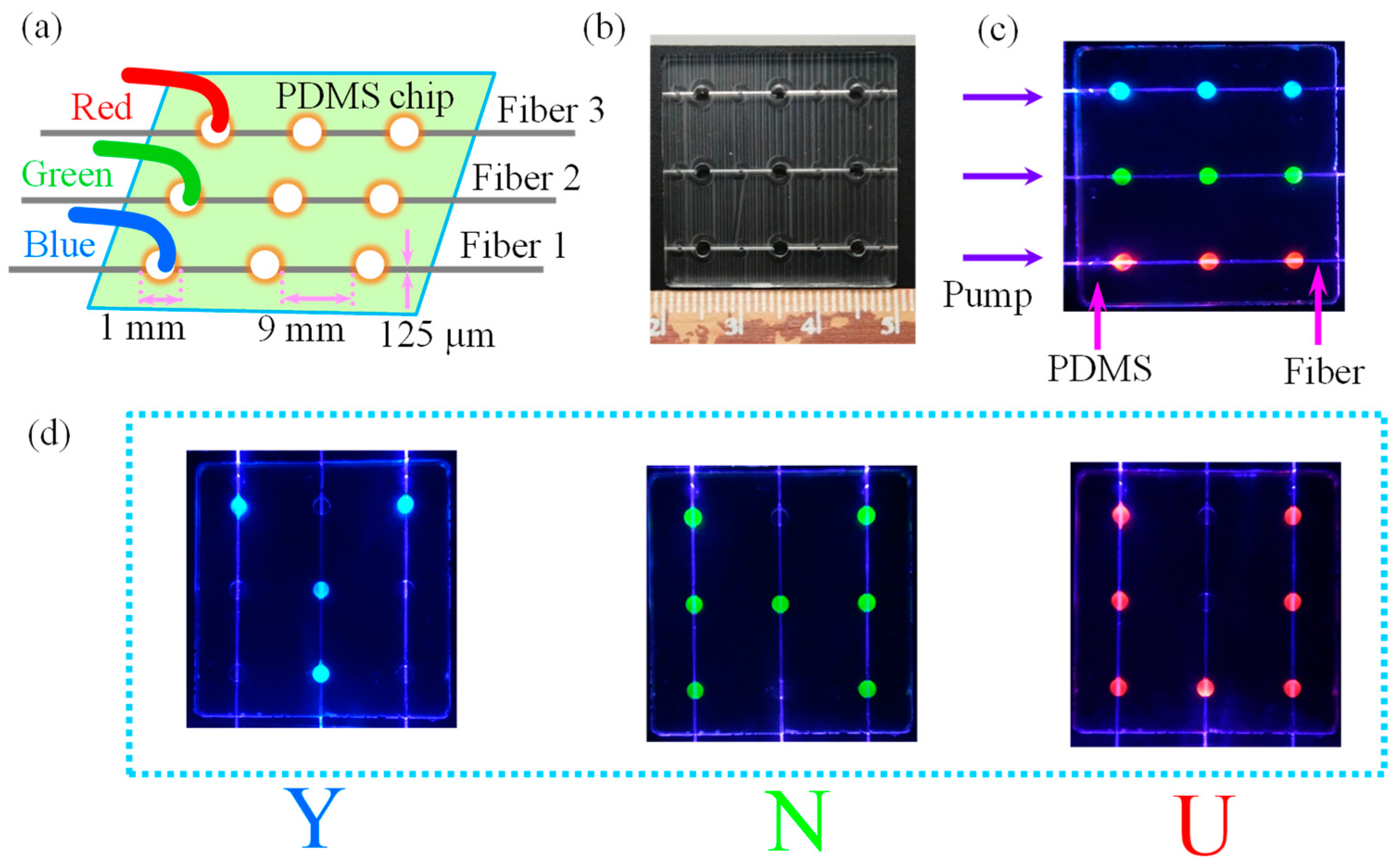 Photonics 12 00212 g004 Photonics 12 00212 g004