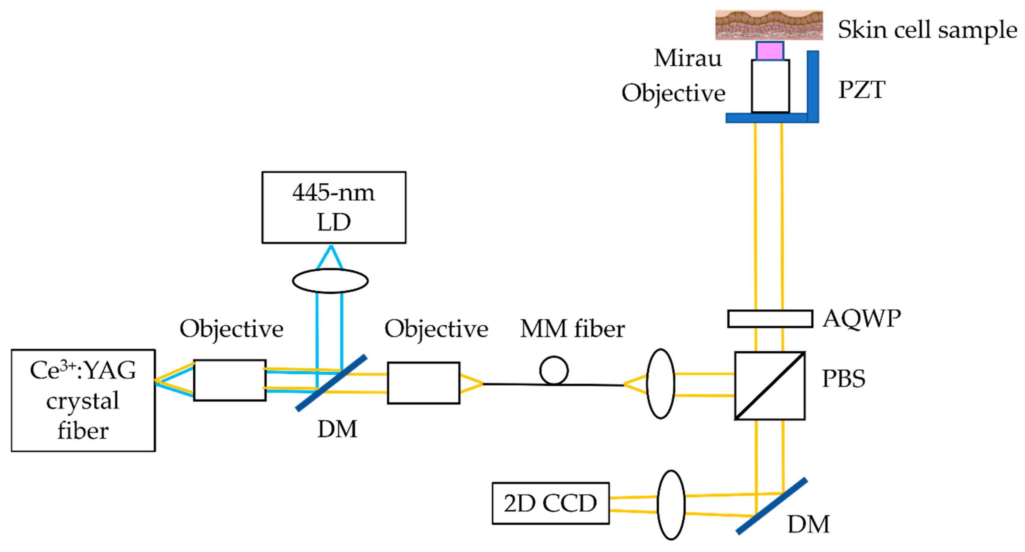 Photonics 12 00217 g001 Photonics 12 00217 g001