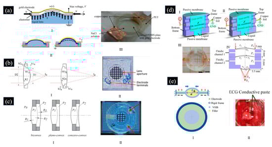 Photonics 12 00227 g003