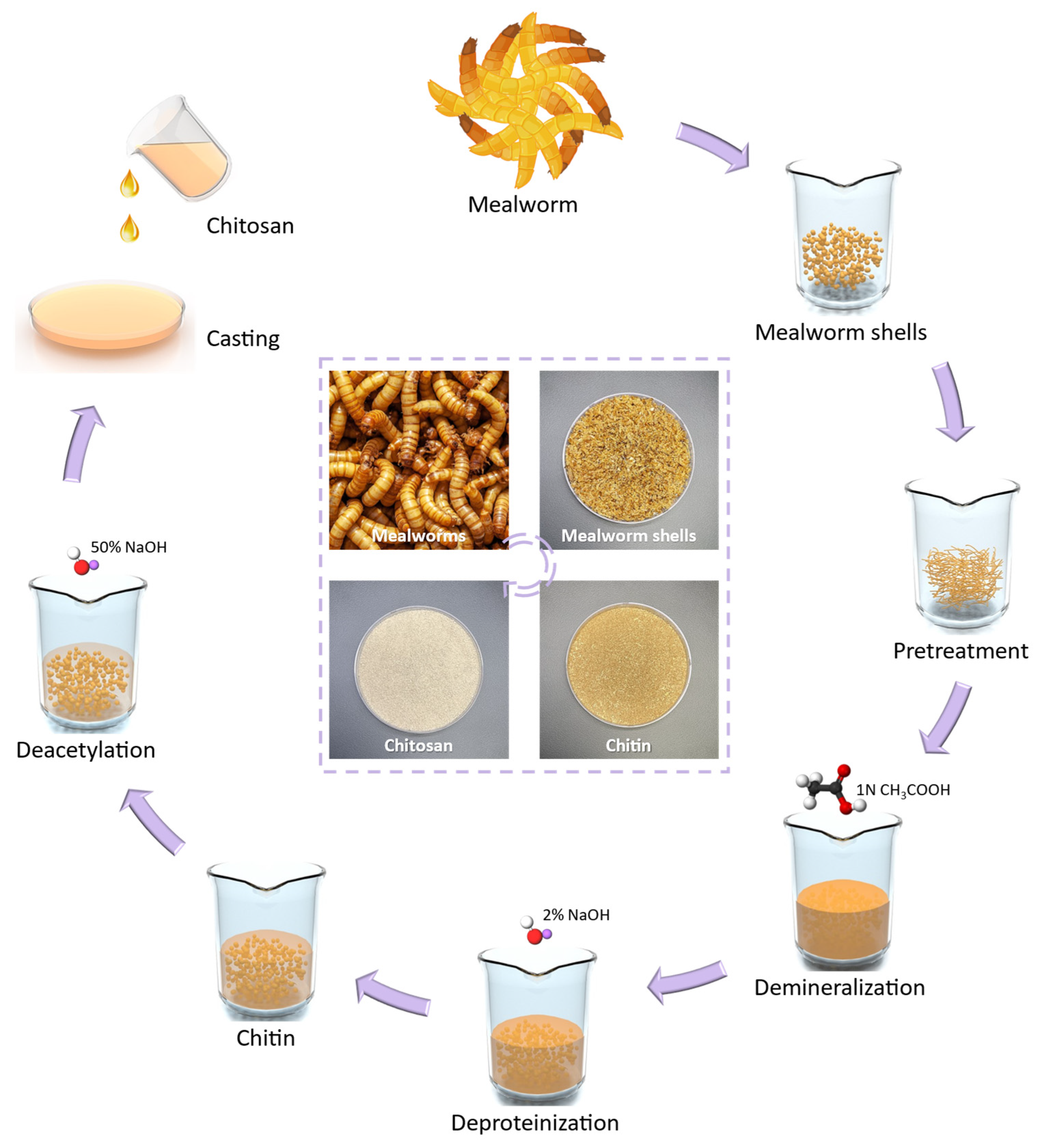 Photonics 12 00231 g001