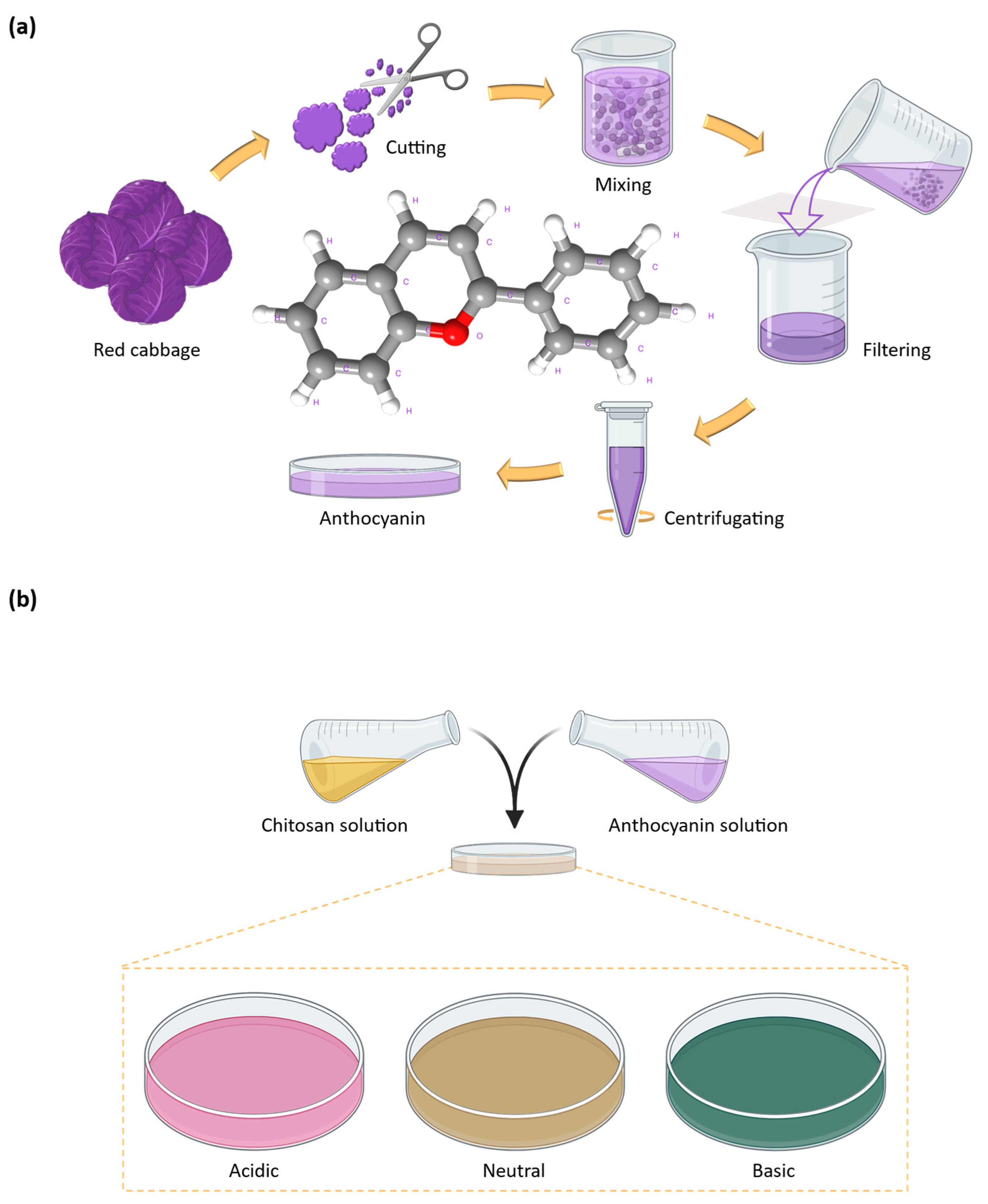 Photonics 12 00231 g002
