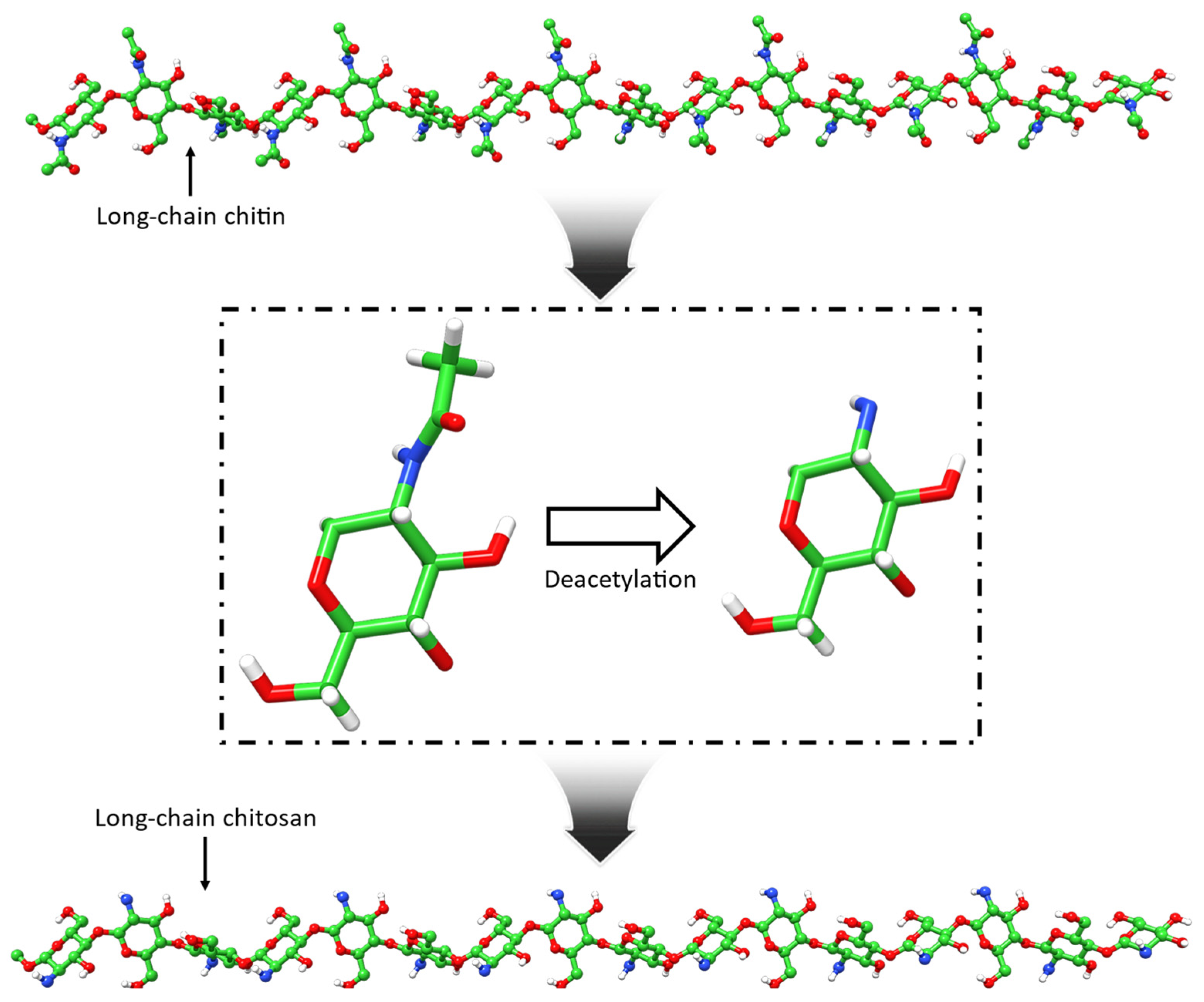 Photonics 12 00231 g003