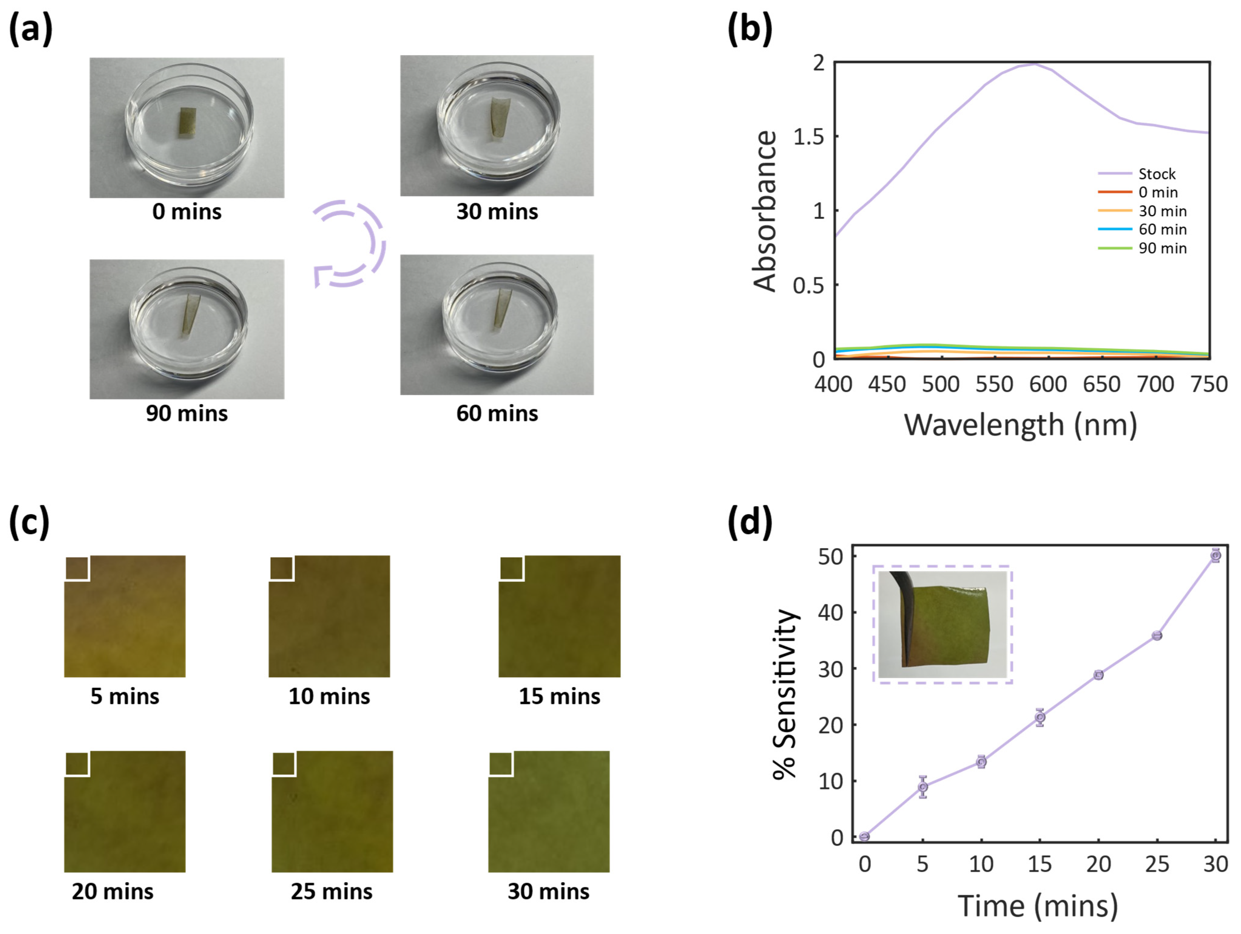 Photonics 12 00231 g007