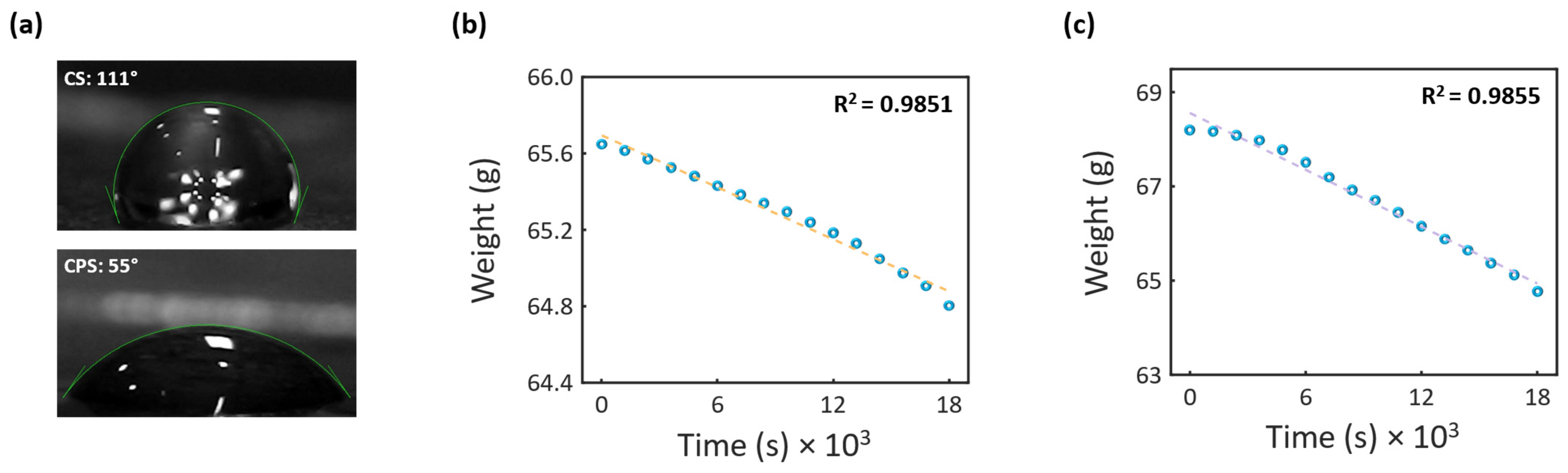 Photonics 12 00231 g010