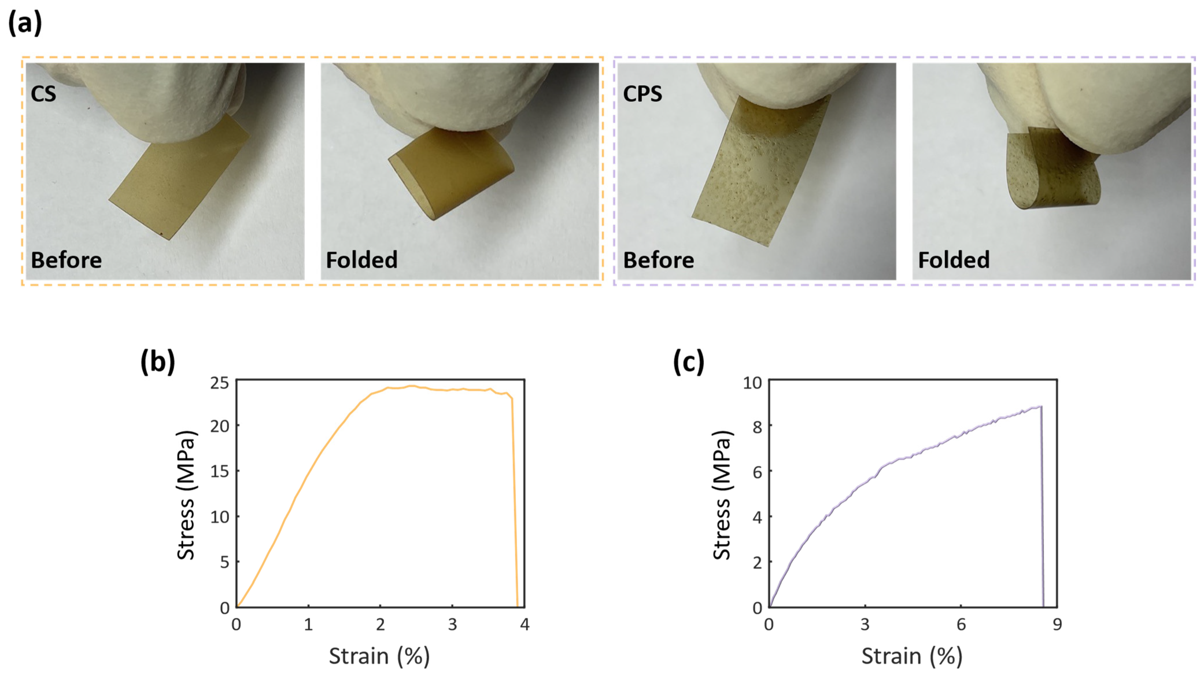 Photonics 12 00231 g011