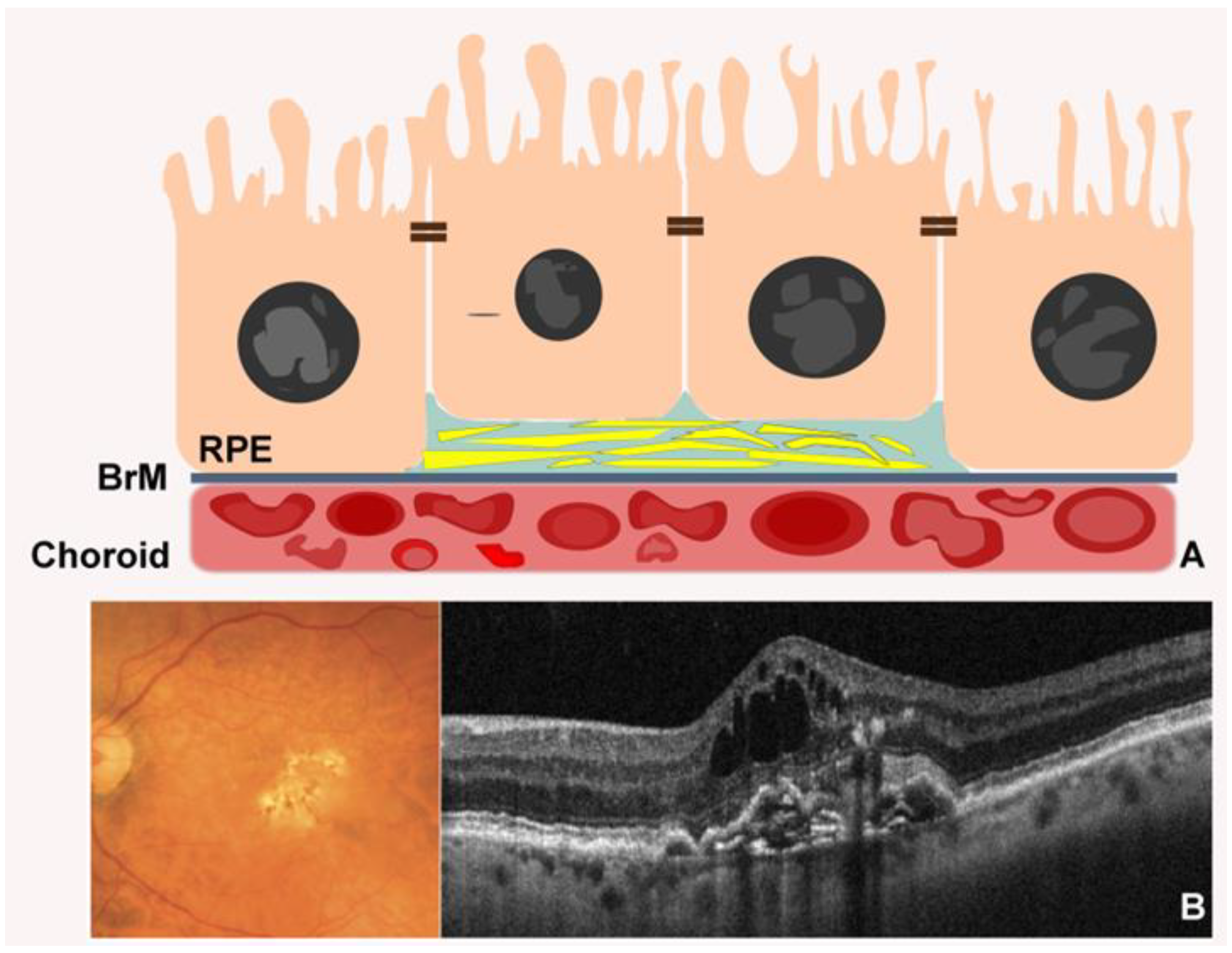 Photonics 12 00237 g005