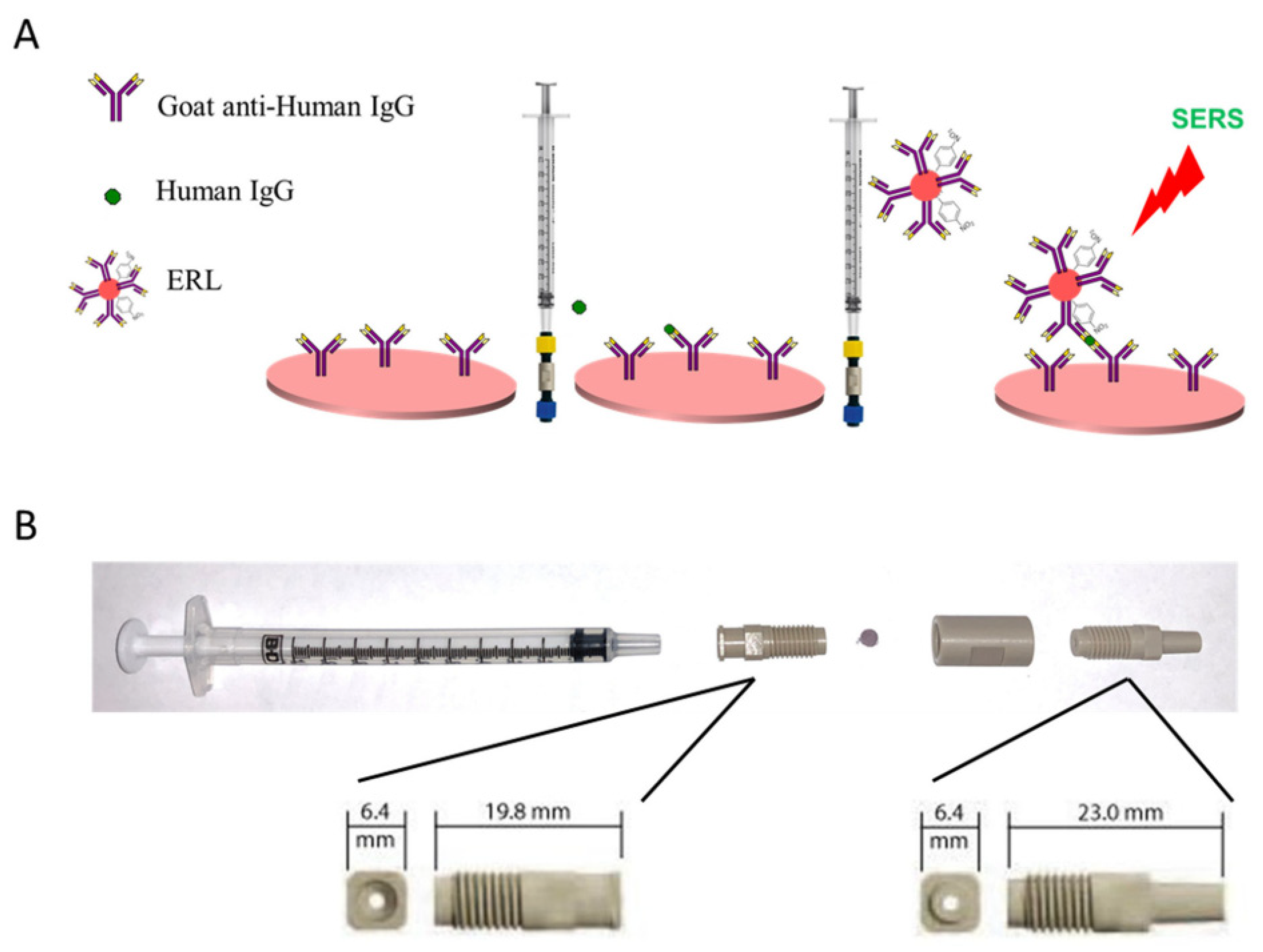 Photonics 12 00294 g010